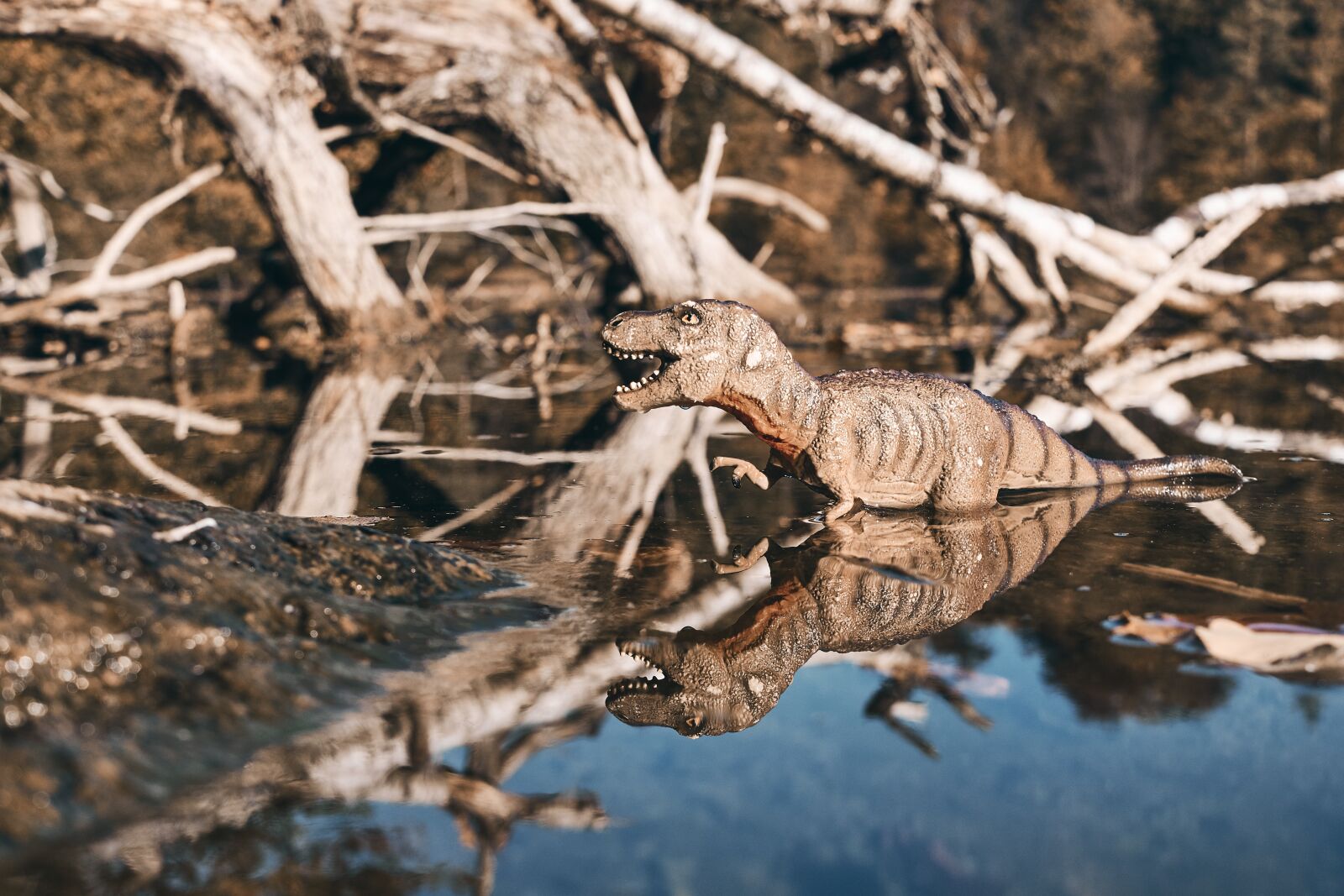 Fujifilm X-T20 + Fujifilm XF 27mm F2.8 sample photo. Dinosaur, lake, tyrannosaurus photography