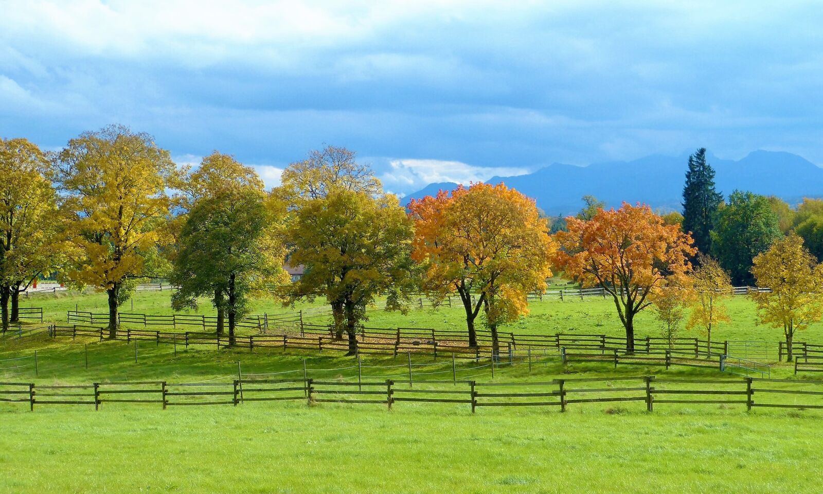 Panasonic Lumix DMC-FZ150 sample photo. Autumn, trees, color photography
