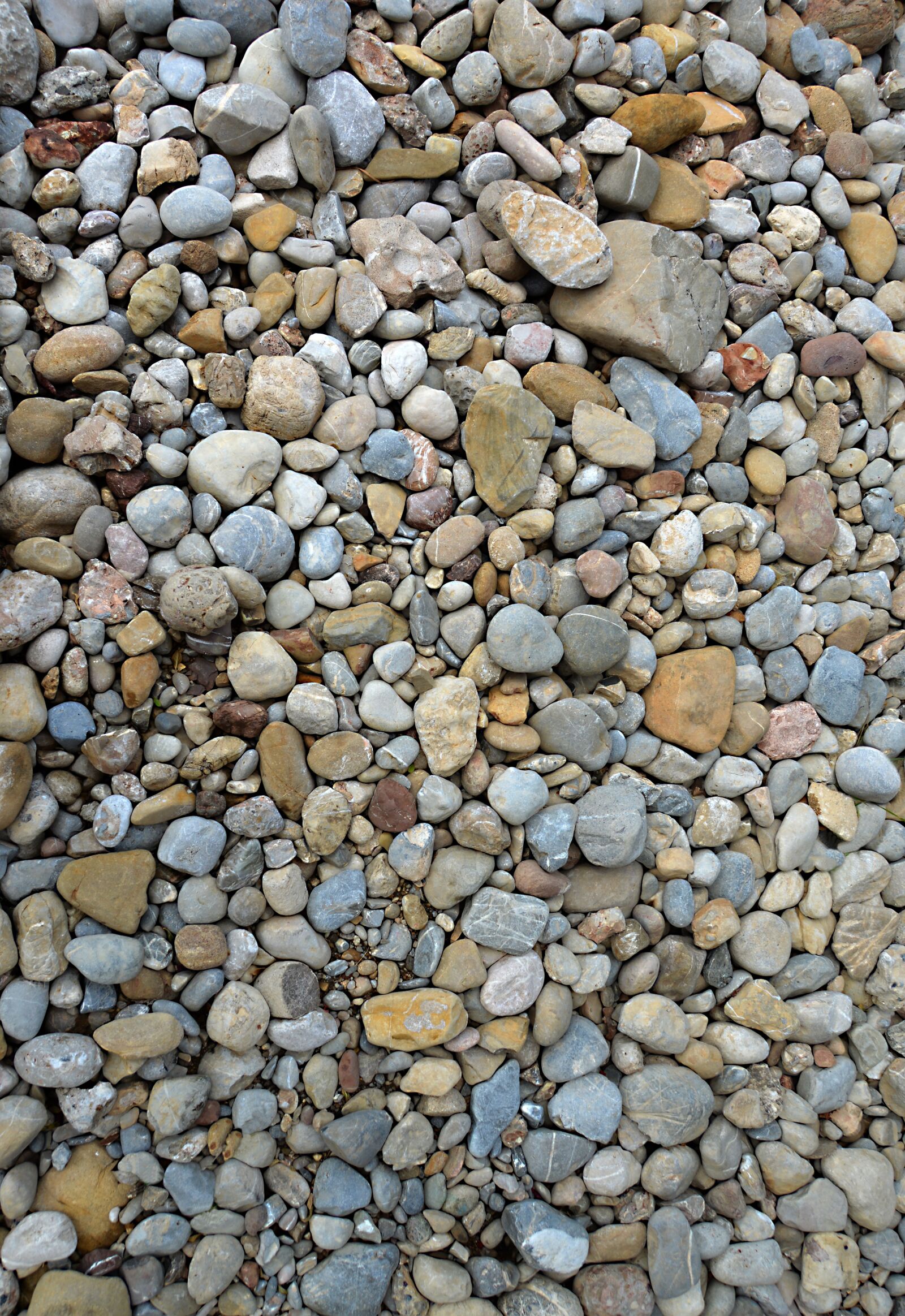 Nikon D3200 sample photo. Pebbles, texture, background photography