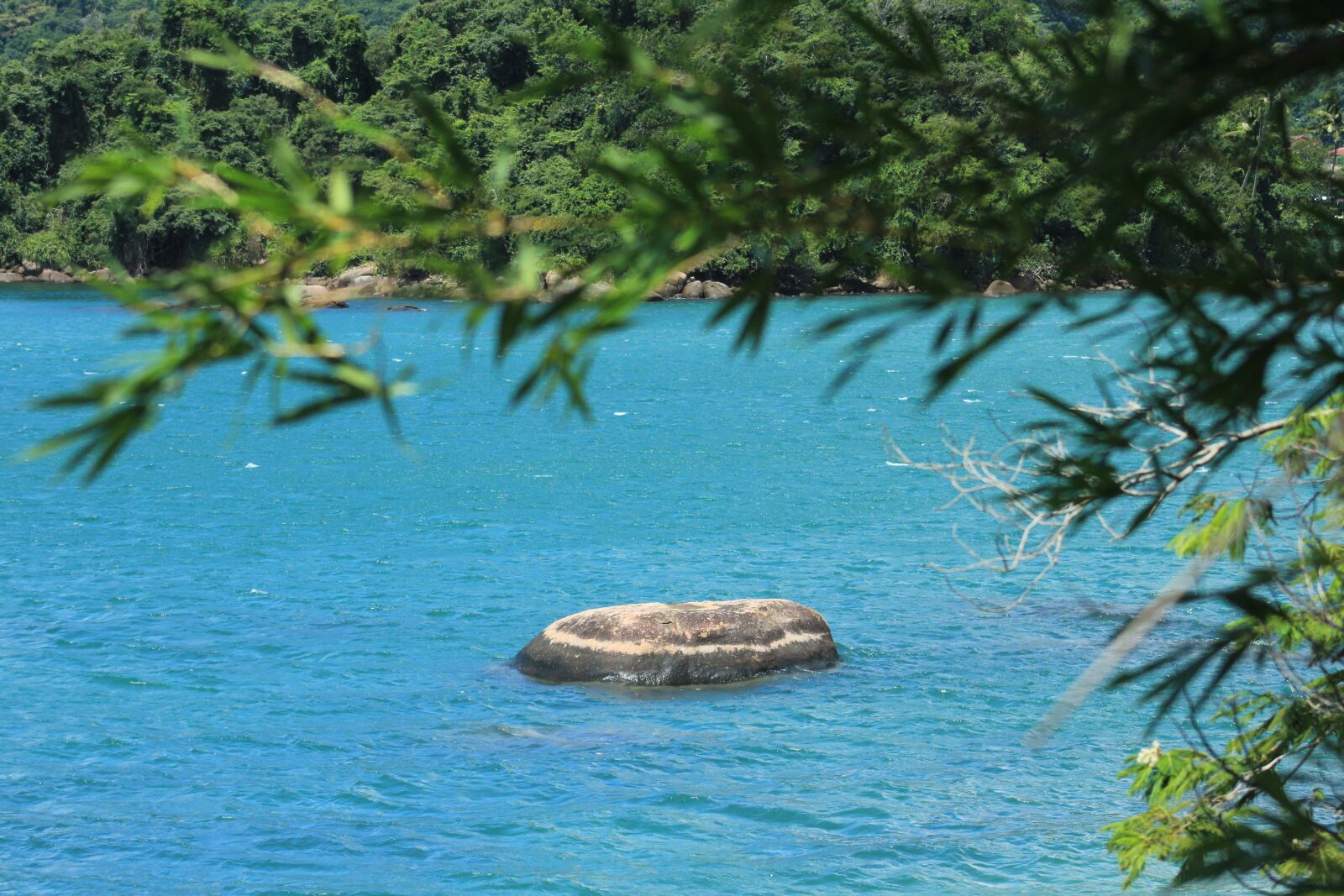 Canon EOS 600D (Rebel EOS T3i / EOS Kiss X5) sample photo. Blue, mar, ocean photography
