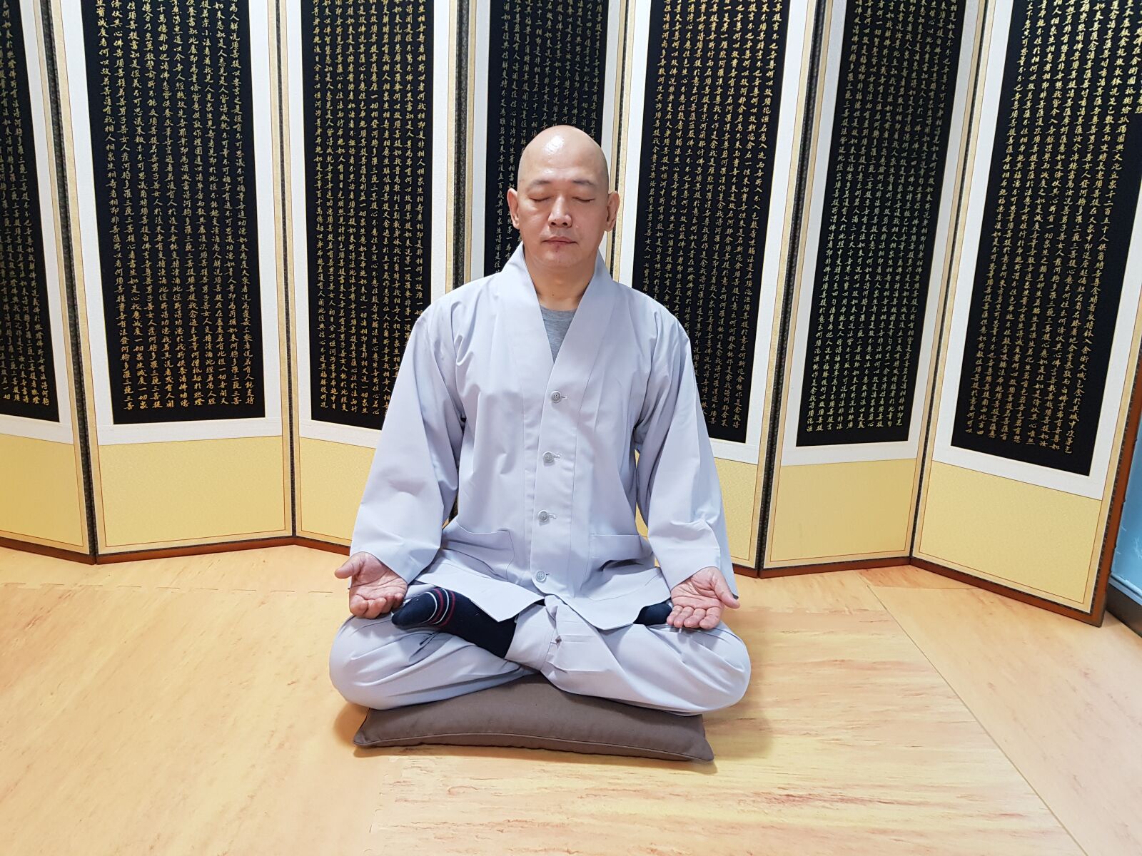 Samsung SM-N950N sample photo. Zen zen, perform, front photography