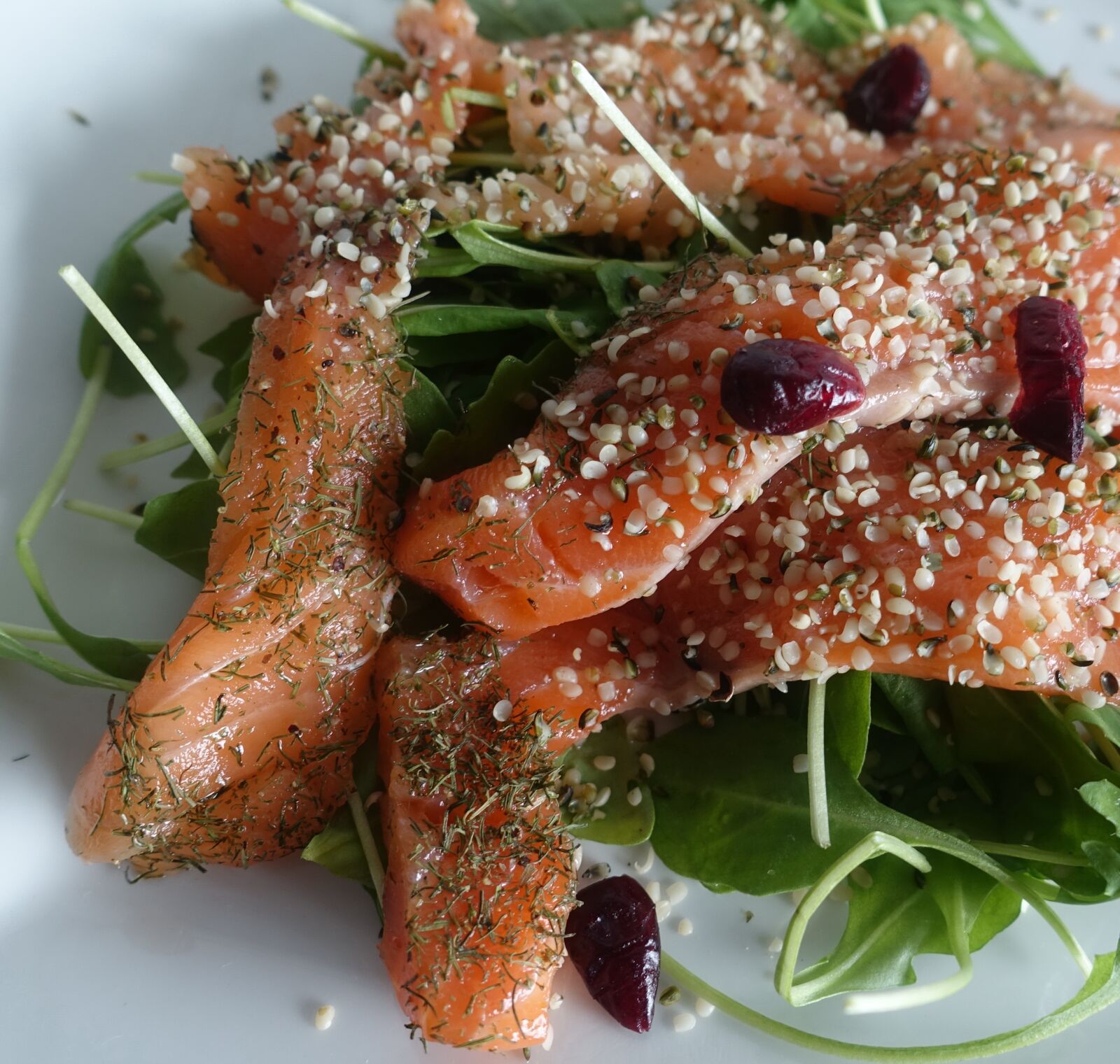 Sony Cyber-shot DSC-RX100 IV sample photo. Salmon, hulled hempseed, hemp photography