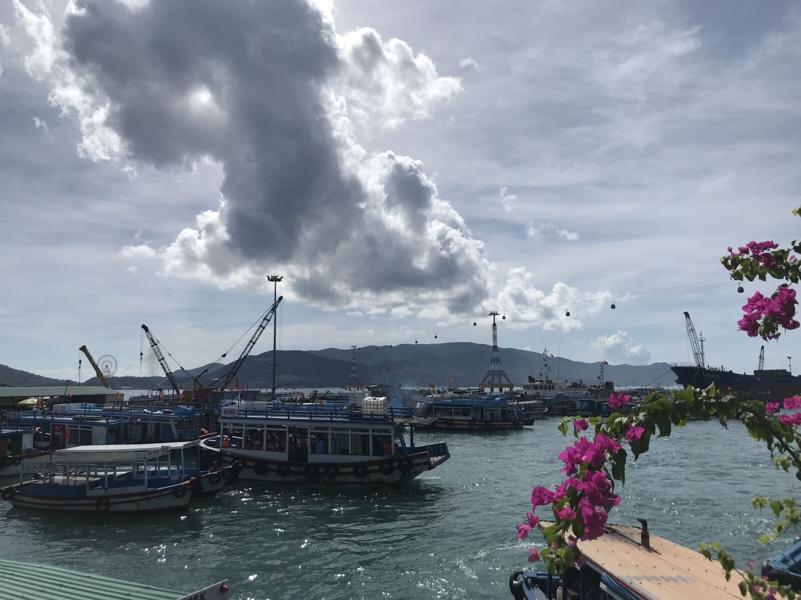 iPhone 7 back camera 3.99mm f/1.8 sample photo. Nha trang, sunshine, the photography