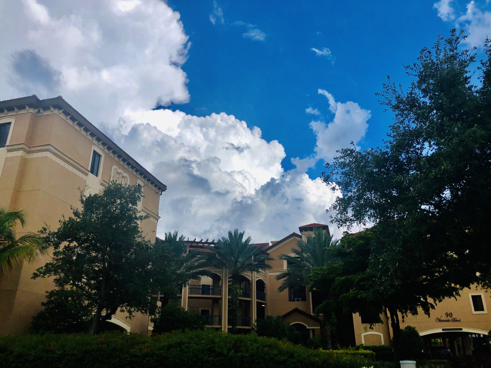 iPhone 8 back camera 3.99mm f/1.8 sample photo. Florida, clouds, punta gorda photography