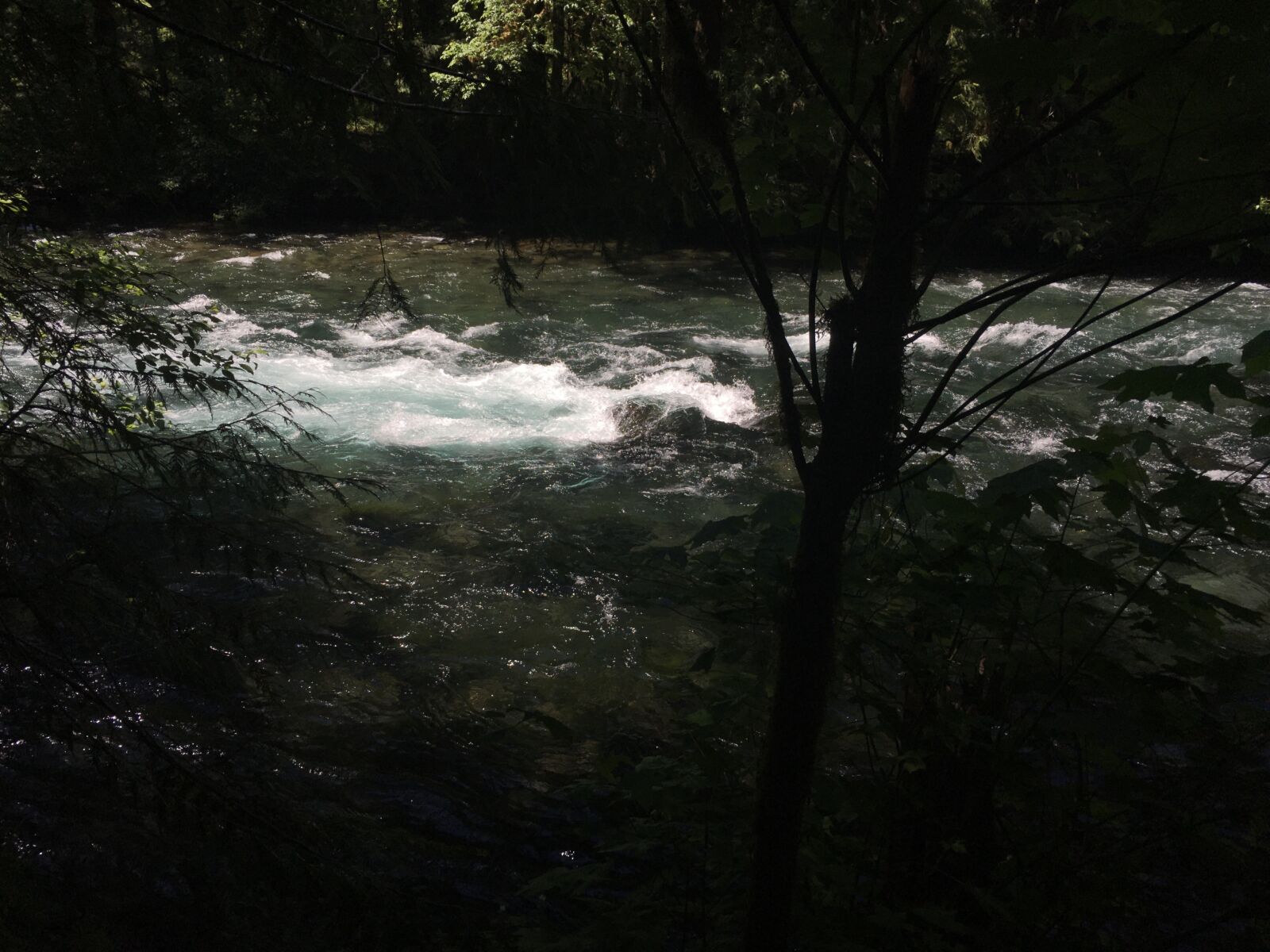 iPhone 6s back camera 4.15mm f/2.2 sample photo. Mckenzie river, rapids, water photography