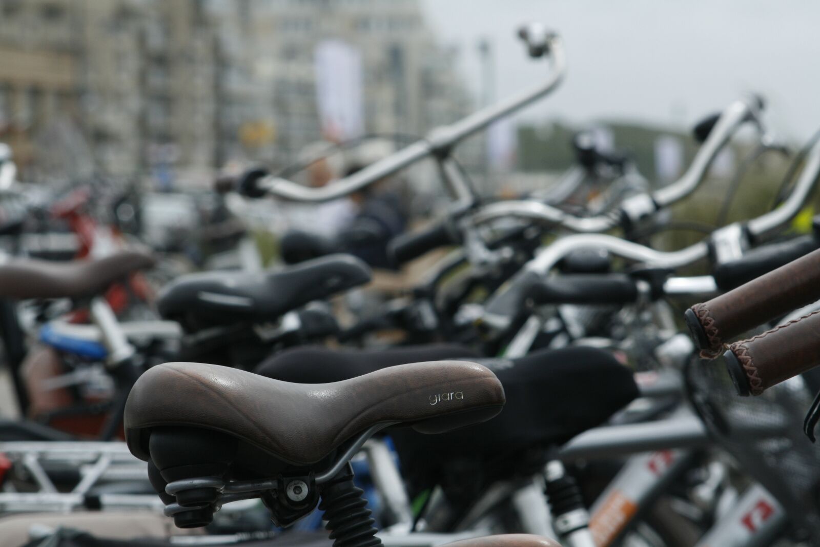 Canon EOS 400D (EOS Digital Rebel XTi / EOS Kiss Digital X) sample photo. Bike, saddle, holland photography