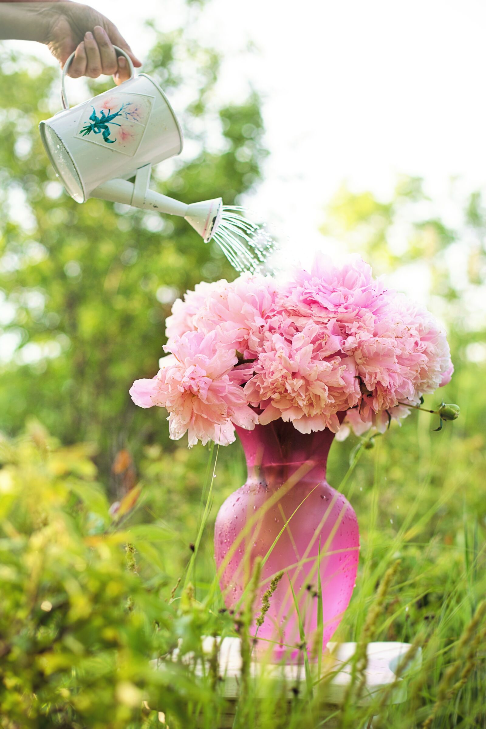 Canon EF 50mm F1.4 USM sample photo. Watering, watering can, sprinkle photography