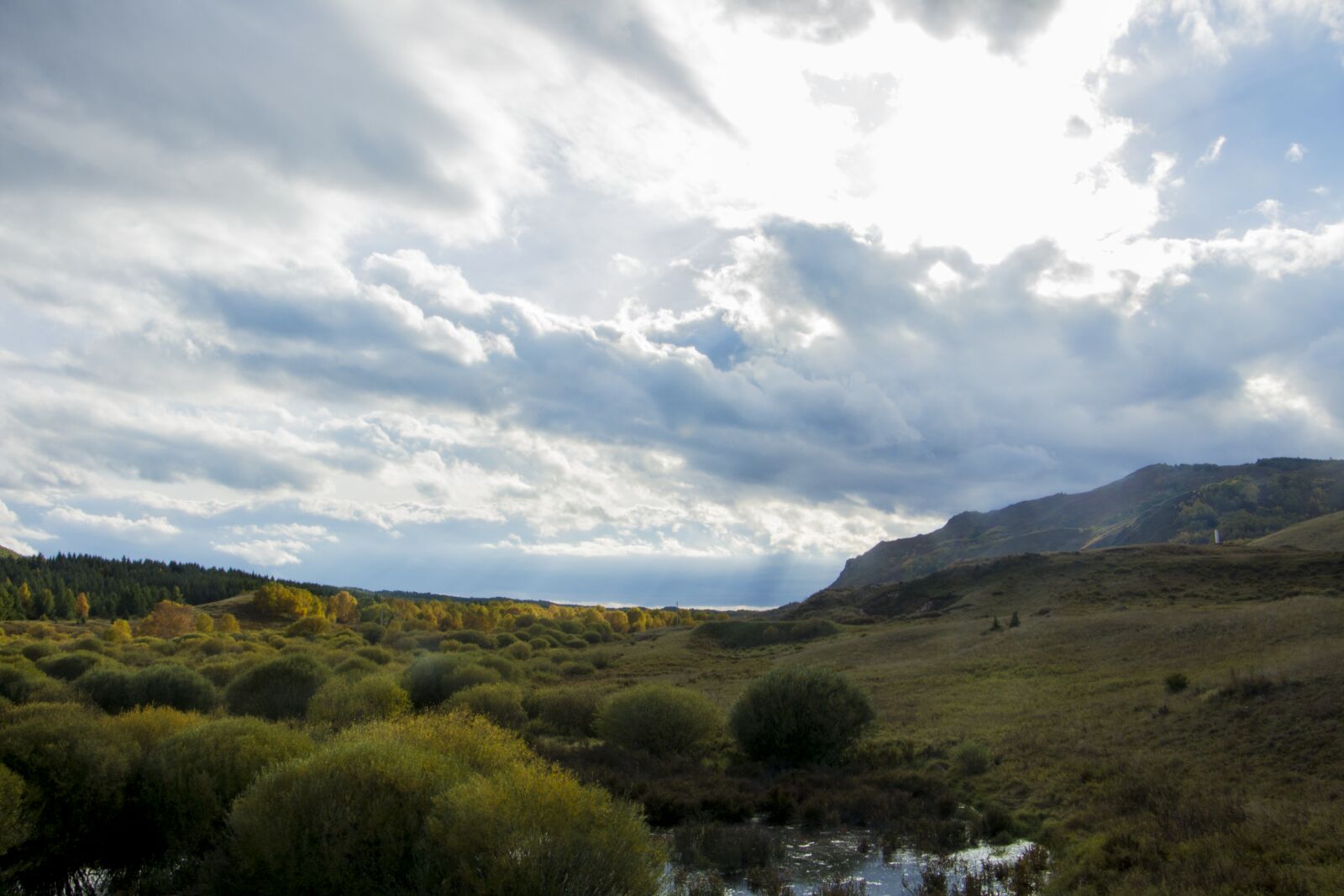 Canon EOS 700D (EOS Rebel T5i / EOS Kiss X7i) sample photo. Scenery, wetland photography