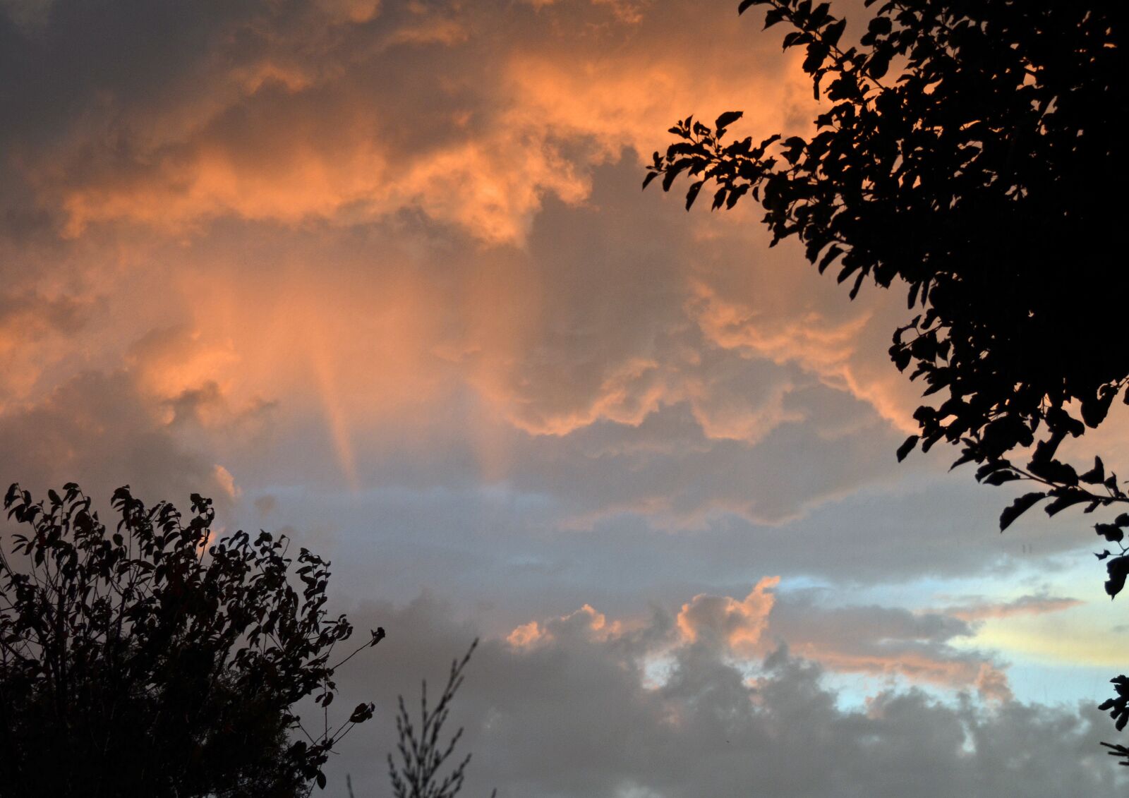 Nikon D5100 sample photo. Evening sun, sky, sunset photography