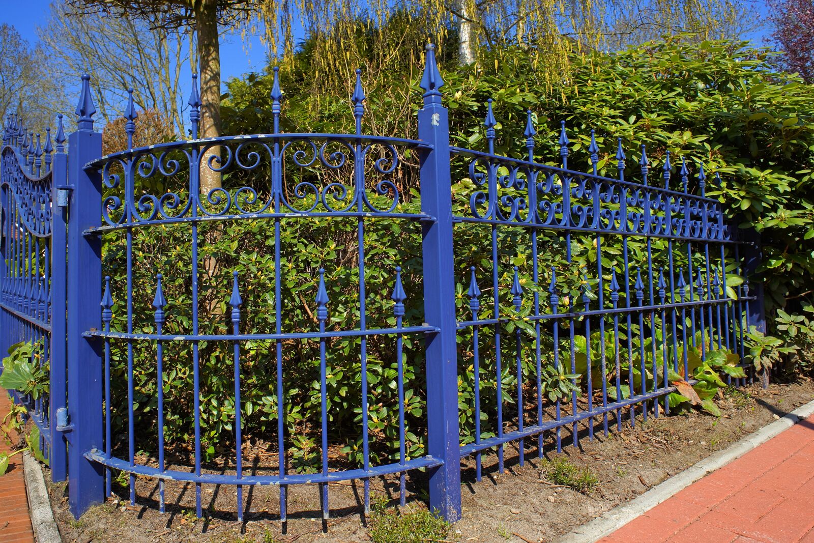 24mm F2.8 sample photo. Spring, fence, garden photography