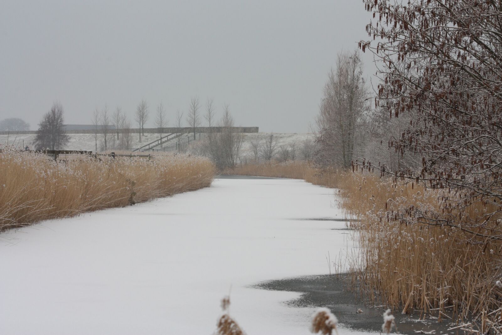 Canon EOS 450D (EOS Rebel XSi / EOS Kiss X2) sample photo. Landscape, snow, winter photography