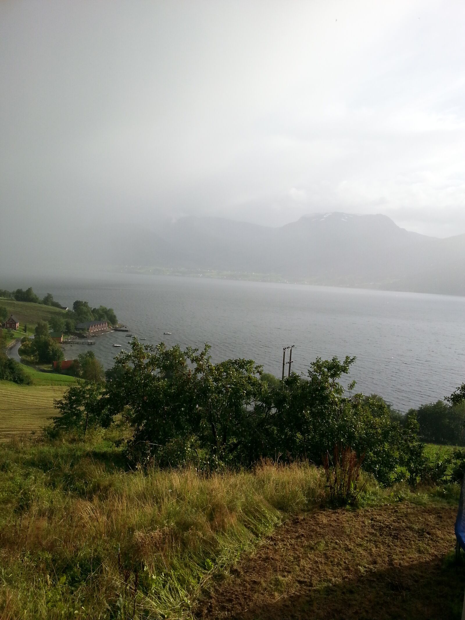 Samsung Galaxy S3 sample photo. Fjord, norway, fruit trees photography