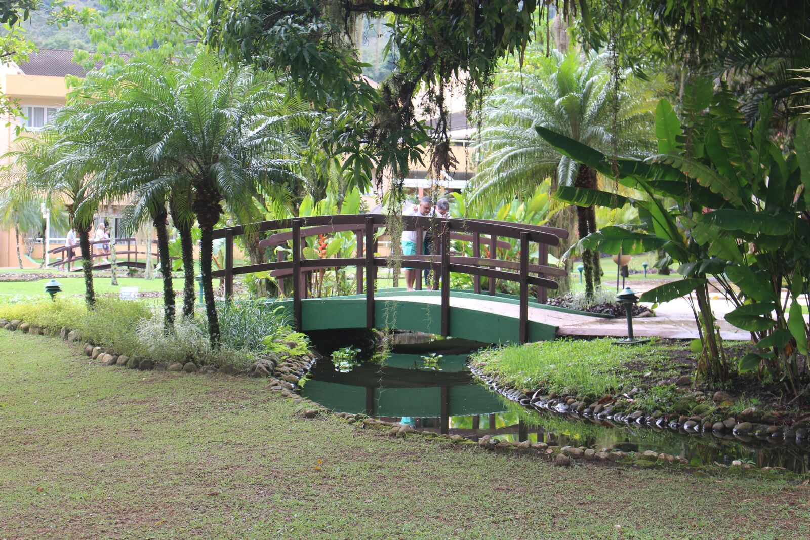 Canon EOS 700D (EOS Rebel T5i / EOS Kiss X7i) sample photo. Beach, pool, coconut trees photography