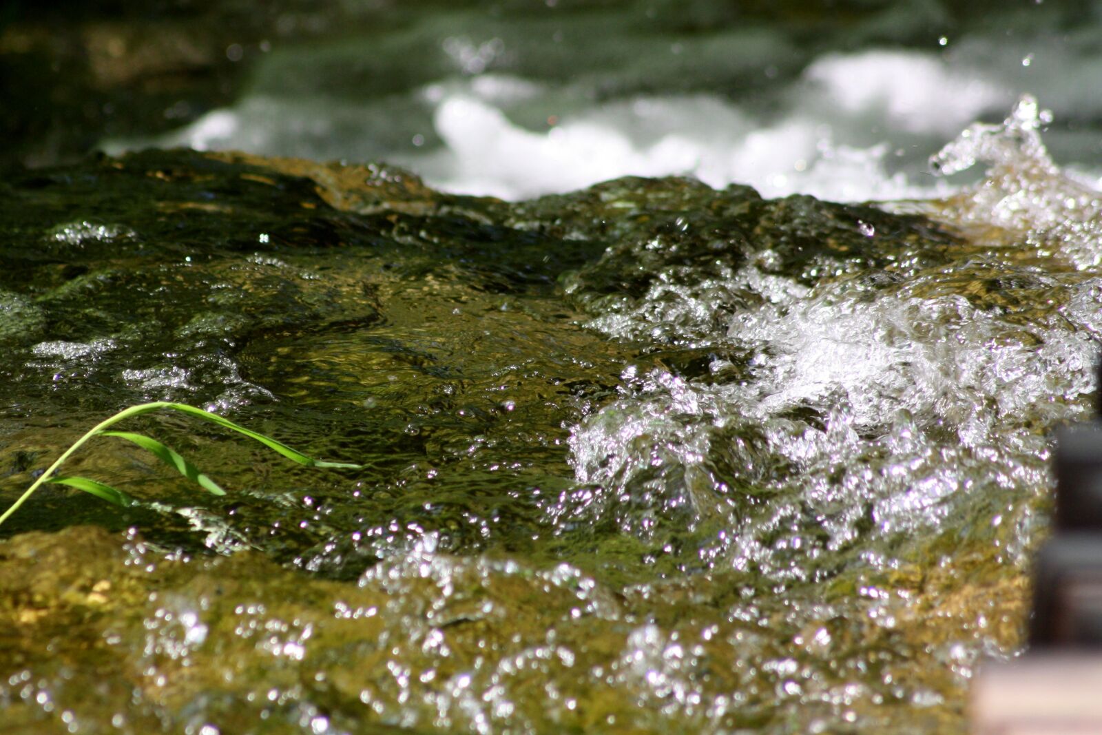 Canon EOS 450D (EOS Rebel XSi / EOS Kiss X2) sample photo. Water, nature, spring photography