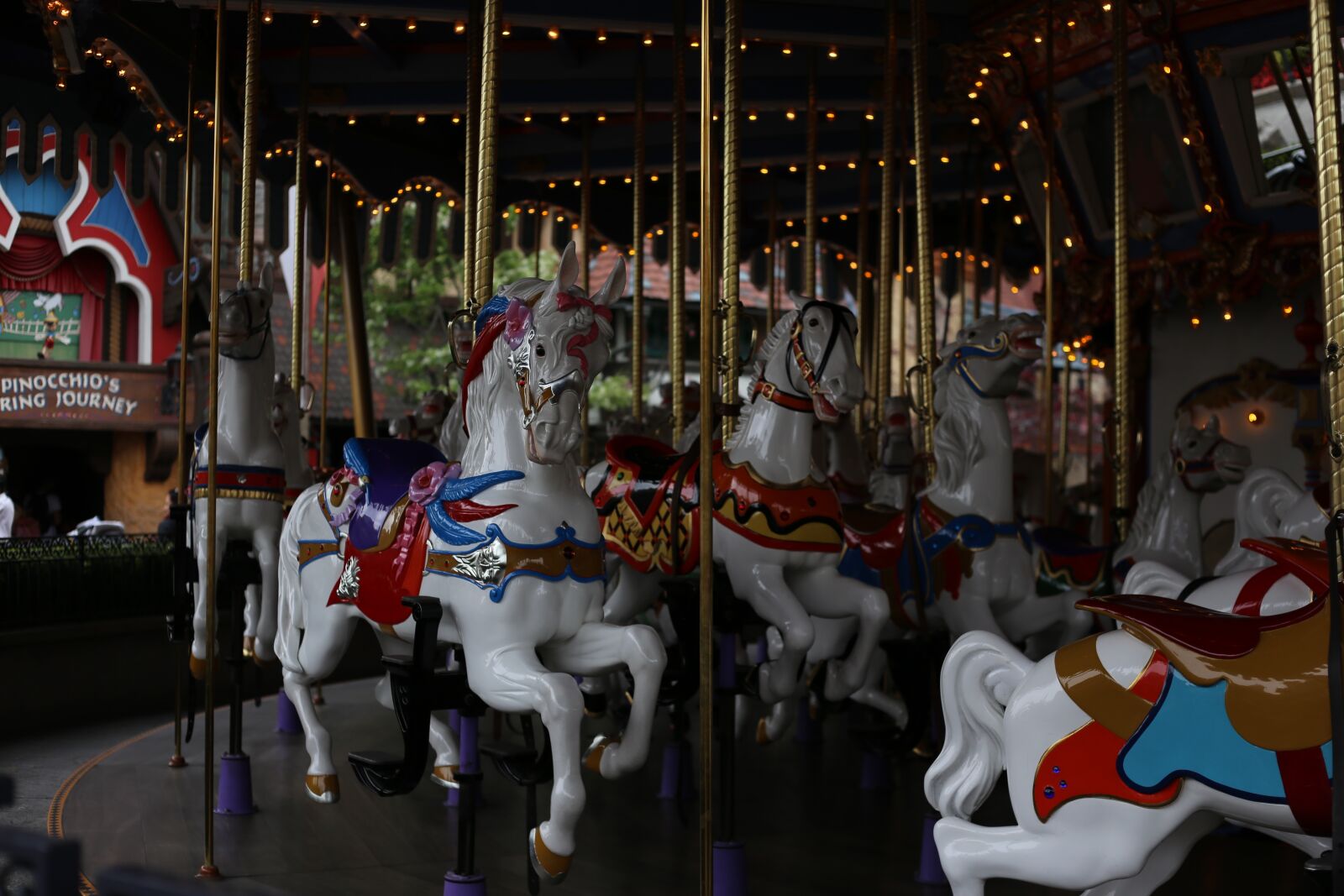Canon EOS 6D sample photo. Disneyland, carousel, horses photography