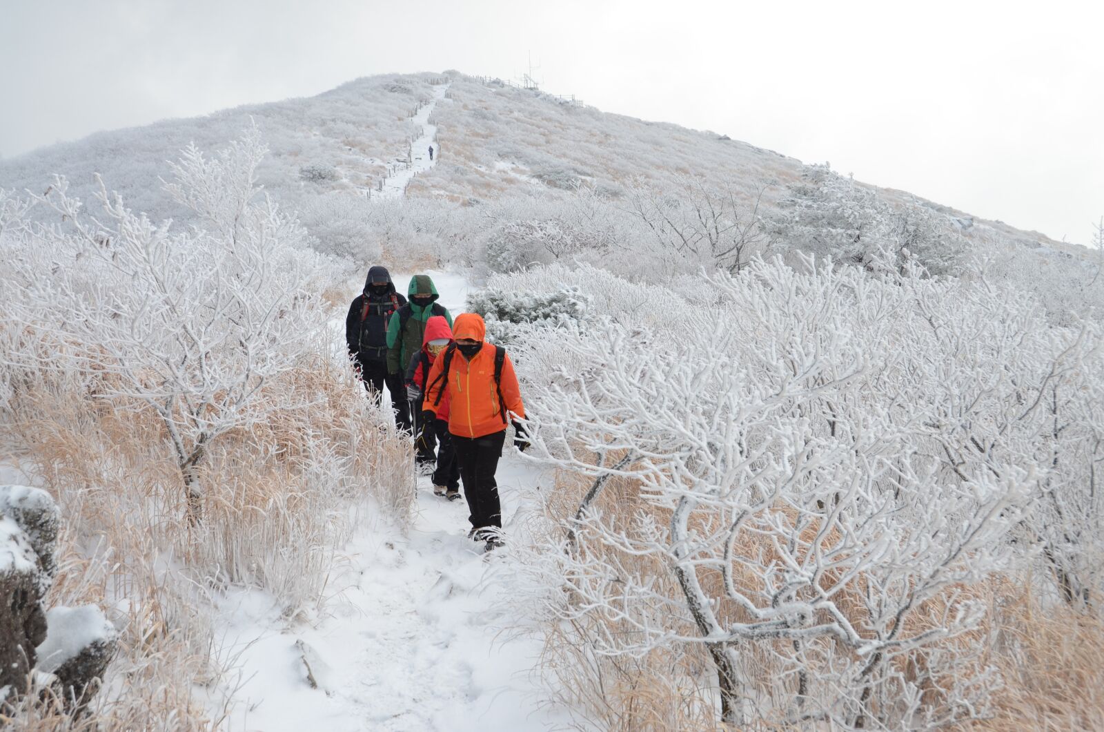 Nikon D7000 sample photo. Nam alps, sinbulsan, mountain photography