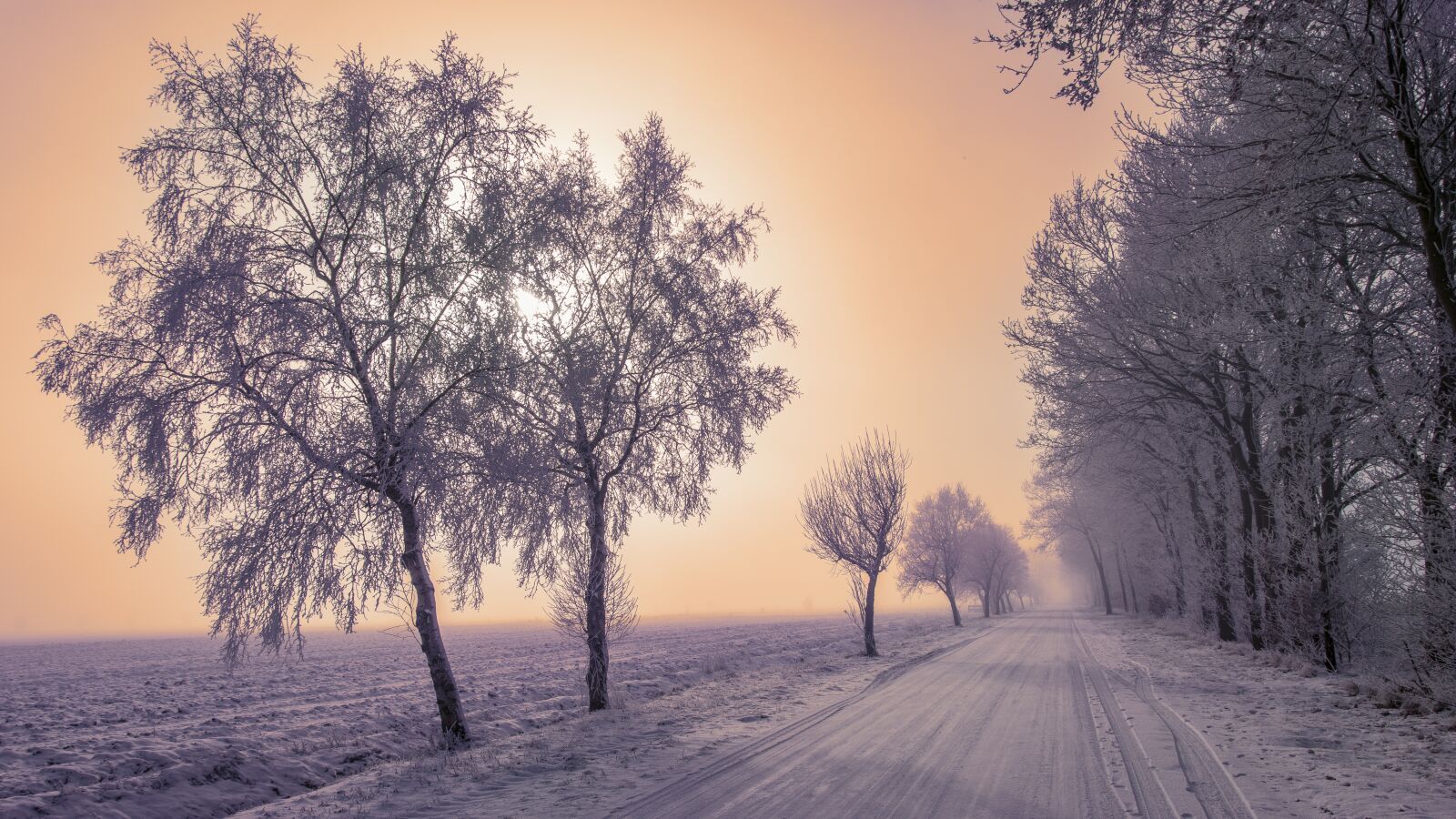 Nikon D5300 sample photo. Landscape, winter, snow photography