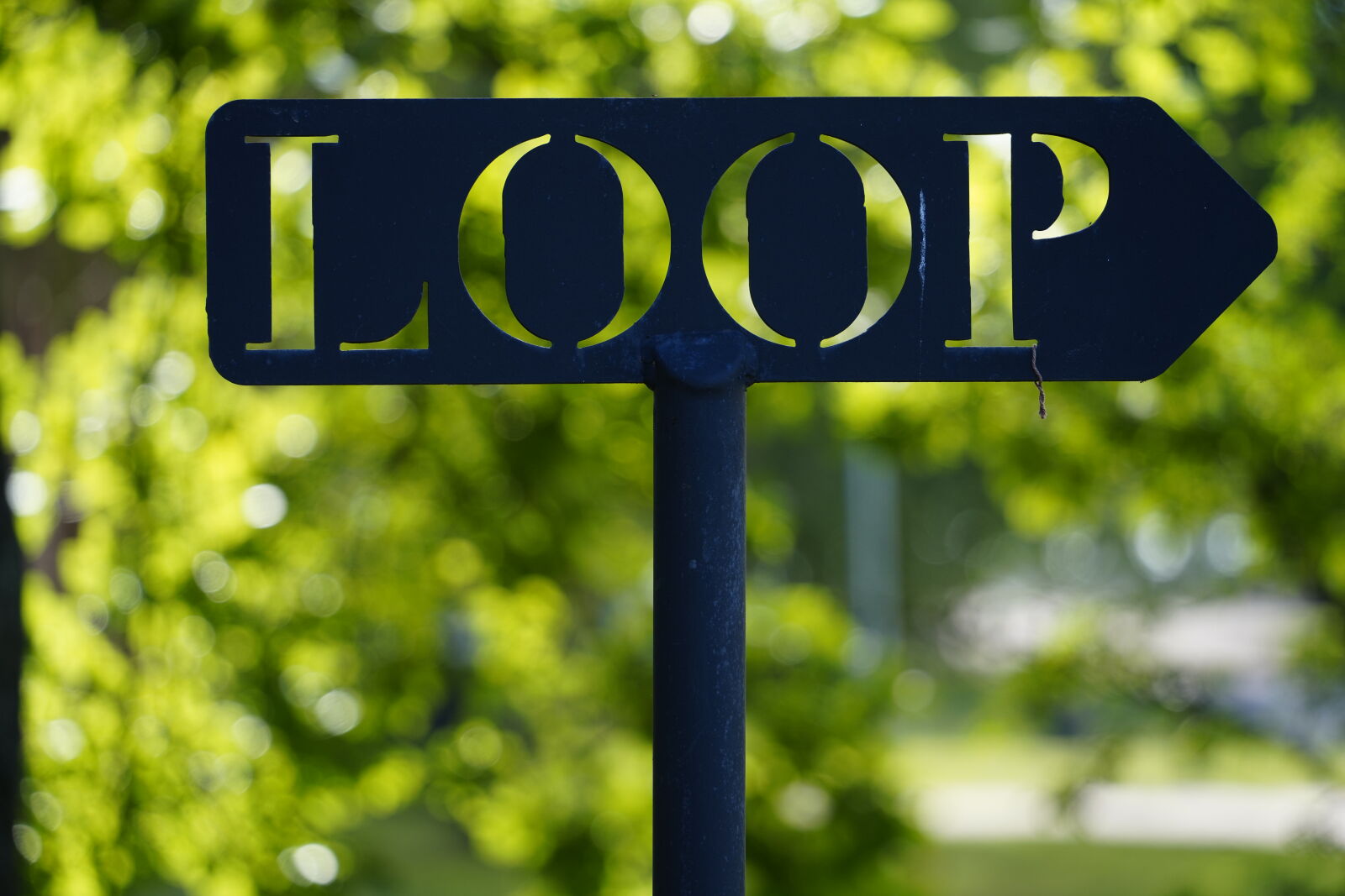 Sony a7R IV sample photo. Loop sign photography