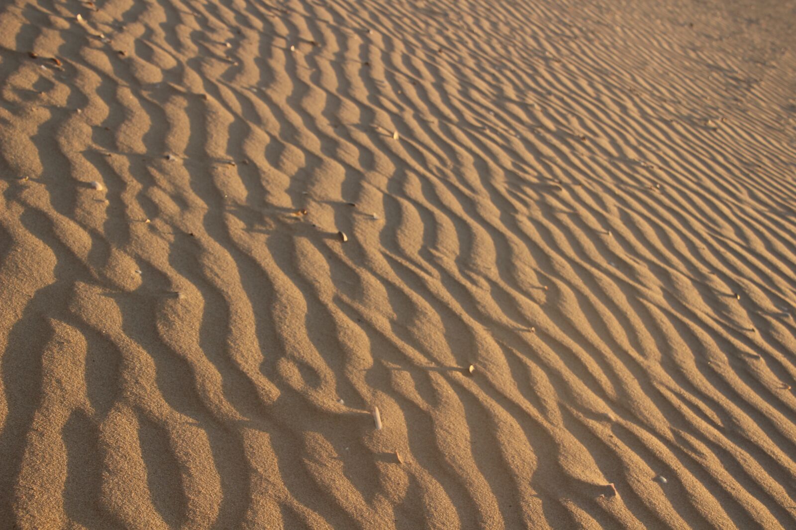 Canon EOS 100D (EOS Rebel SL1 / EOS Kiss X7) sample photo. Sand, sunset, beach photography