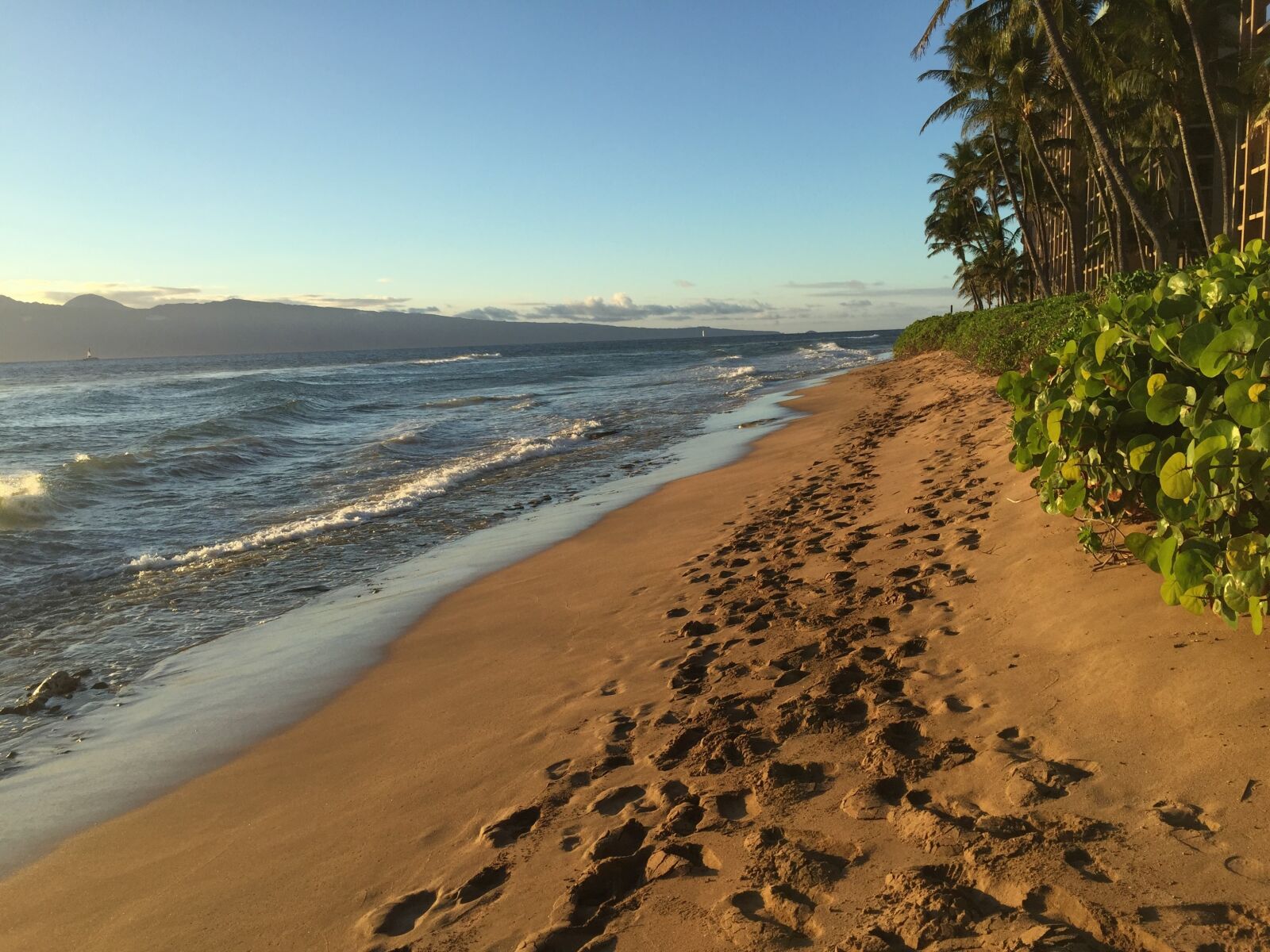 Apple iPhone 6 sample photo. Footprints, sand, beach photography
