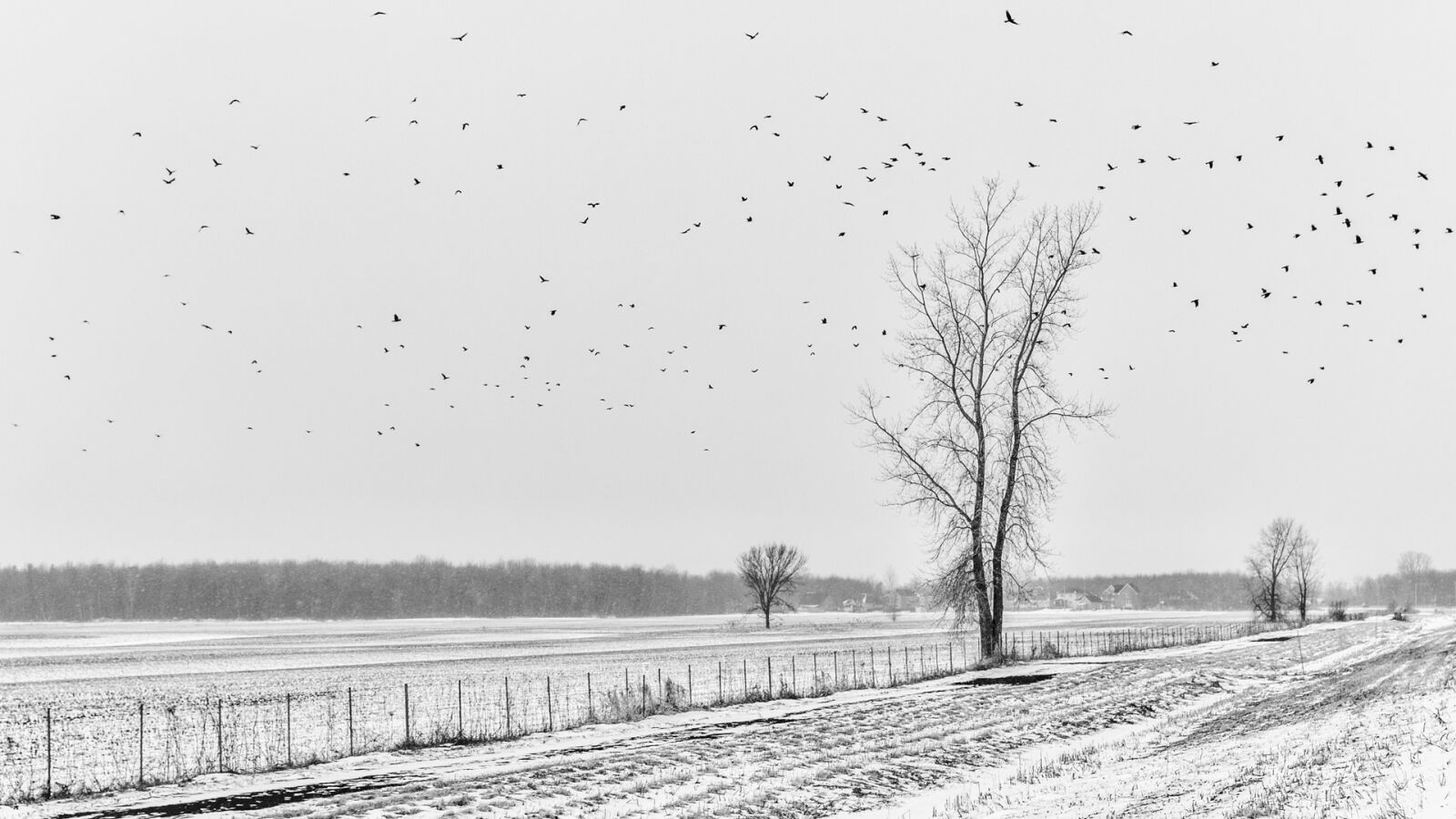 Canon EOS 6D sample photo. Landscape, flown away, rumors photography