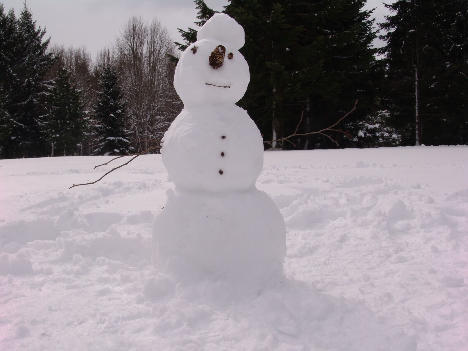 Sony DSC-F828 sample photo. Snowman, snow, winter photography