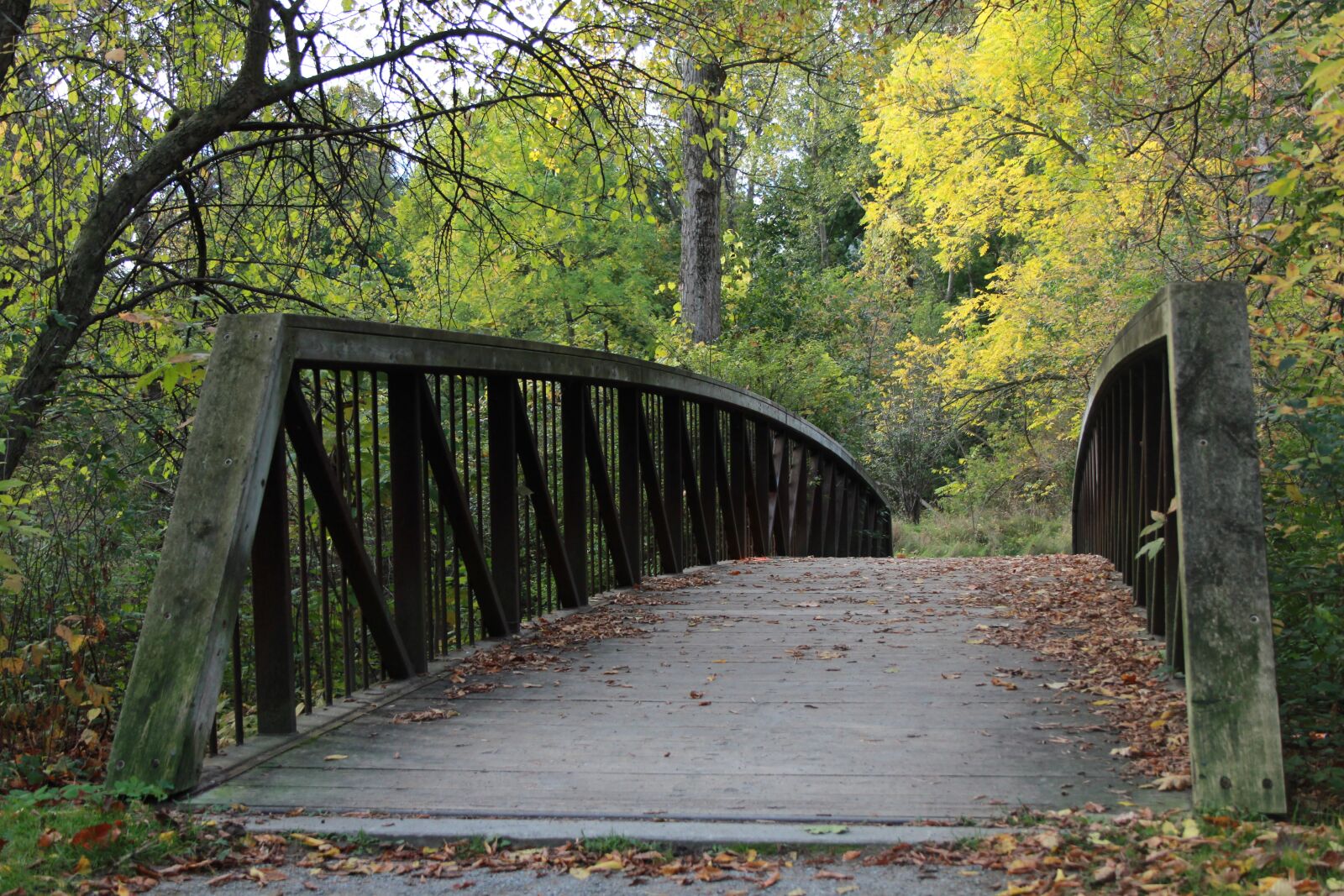 Canon EF-S 18-55mm F3.5-5.6 II sample photo. Cornelio, montalbo, bridge photography
