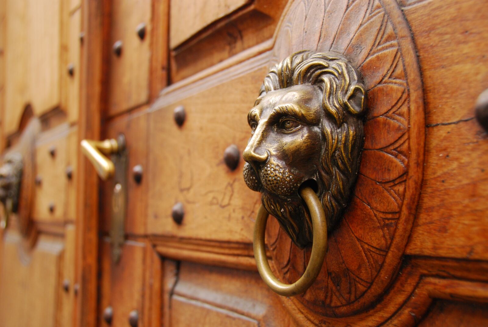 Nikon D80 sample photo. Door, wood, lion photography
