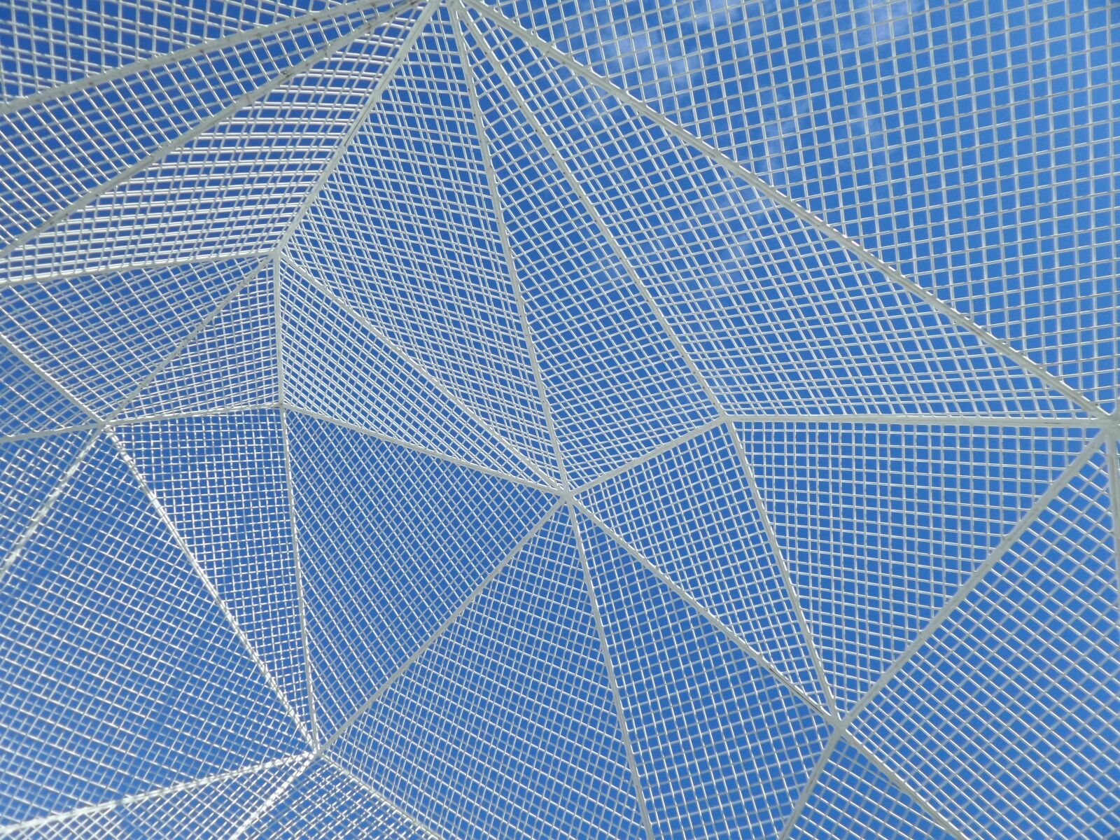 Samsung Galaxy K Zoom sample photo. Structure, polygons, polygonal photography