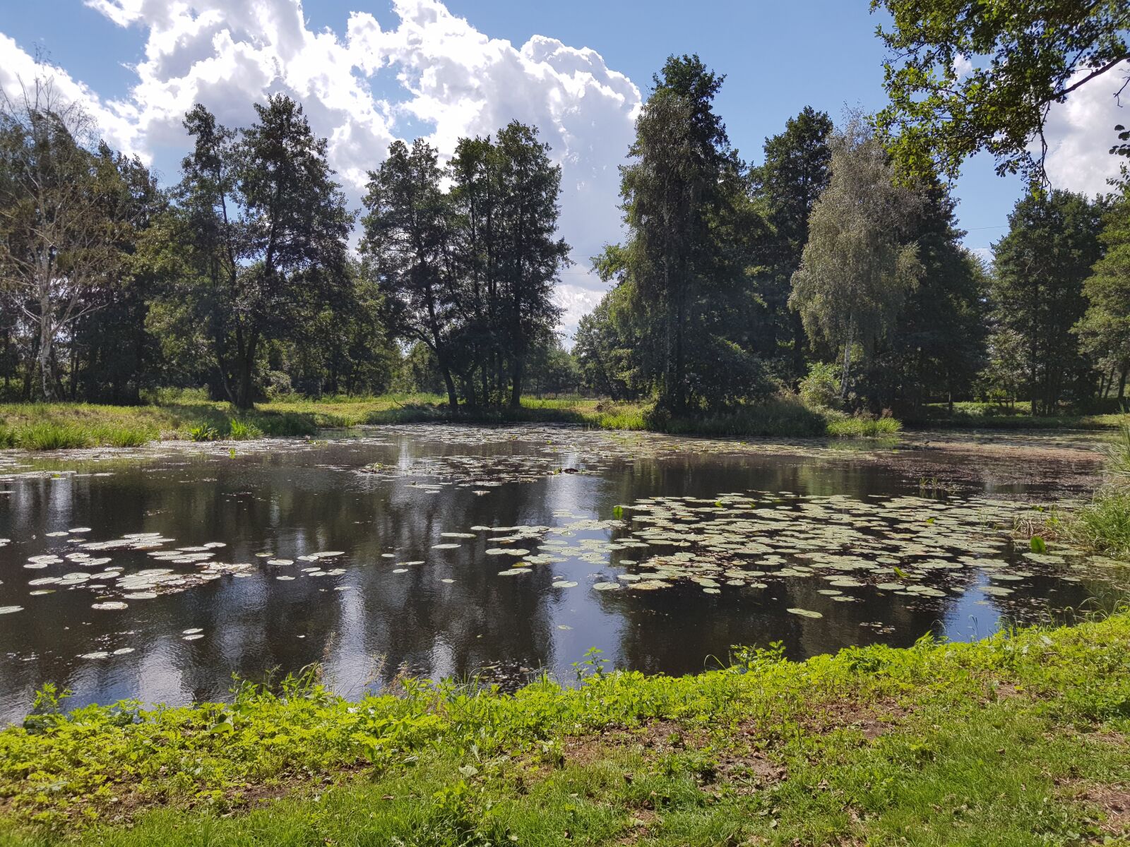 Samsung SM-N950F sample photo. Lake, trees, water photography