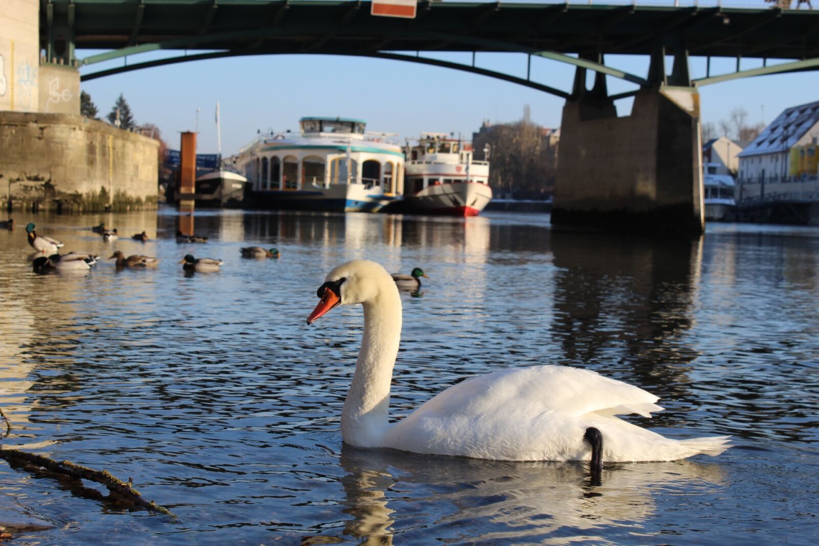 Canon EOS 1300D (EOS Rebel T6 / EOS Kiss X80) sample photo. Danube, regensburg, river photography