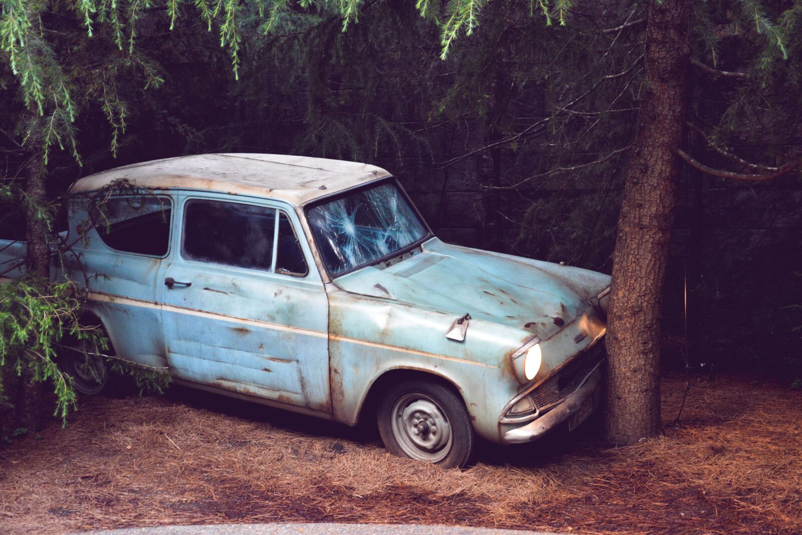 Nikon D5200 sample photo. Harry potter, car, fly photography