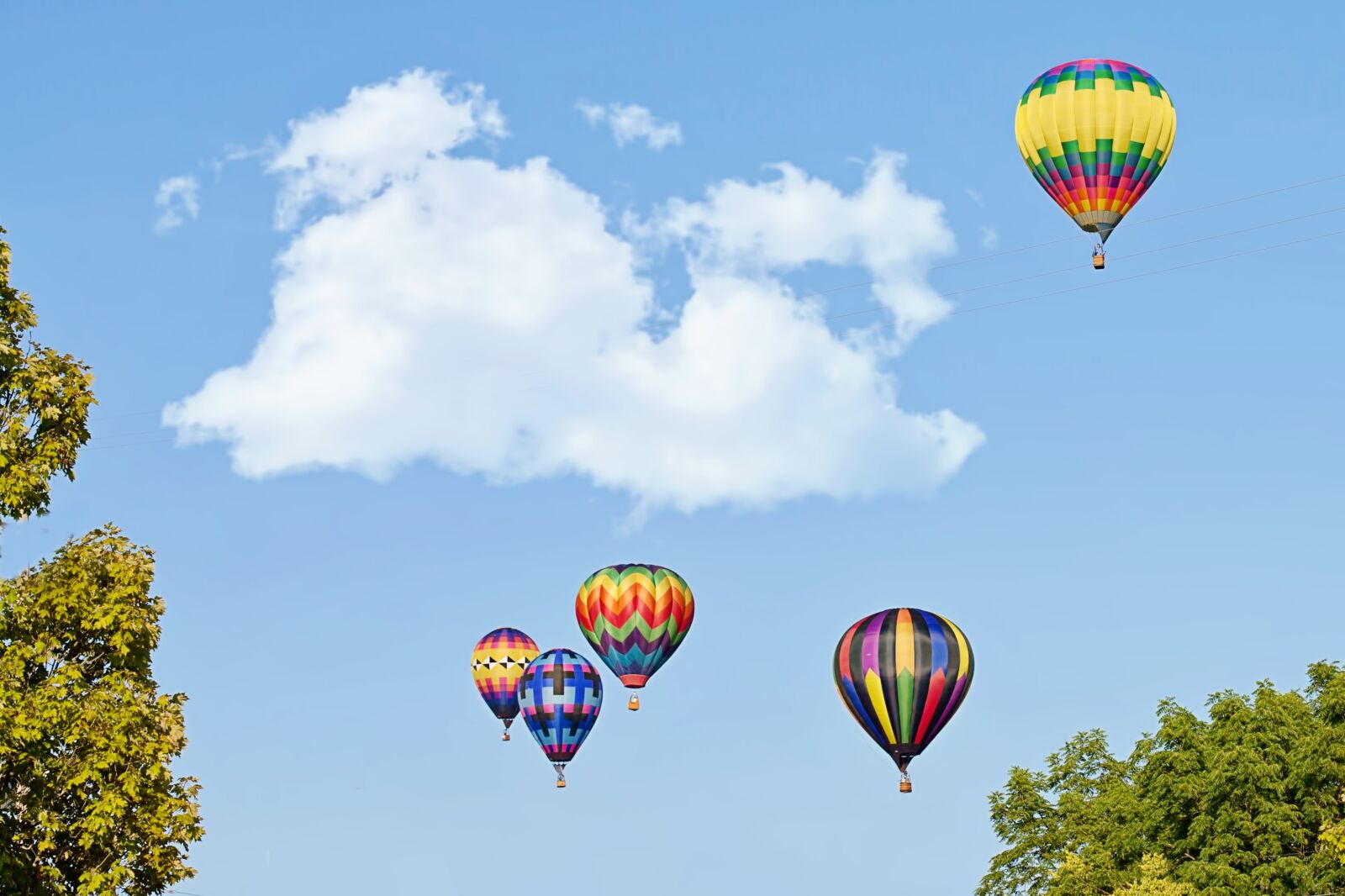 Canon EF 50mm F1.4 USM sample photo. Hot air balloons, colorful photography