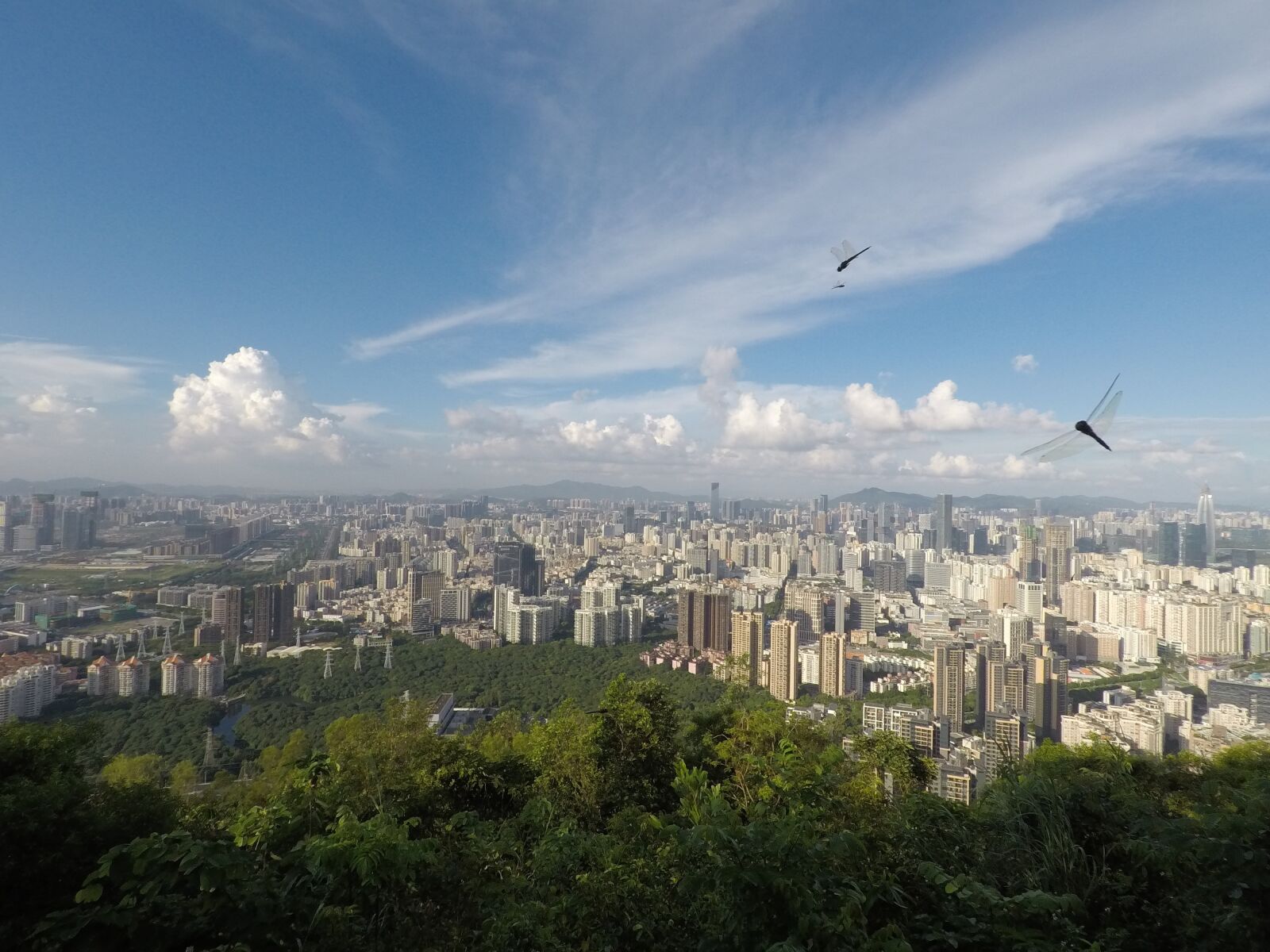 GoPro Hero5 Black sample photo. Dragonfly, shenzhen, city photography