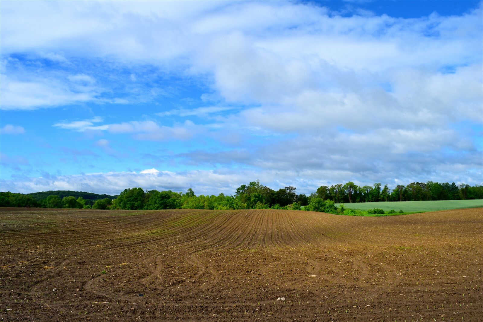 Nikon D3300 sample photo. Farmland, spring, planting photography