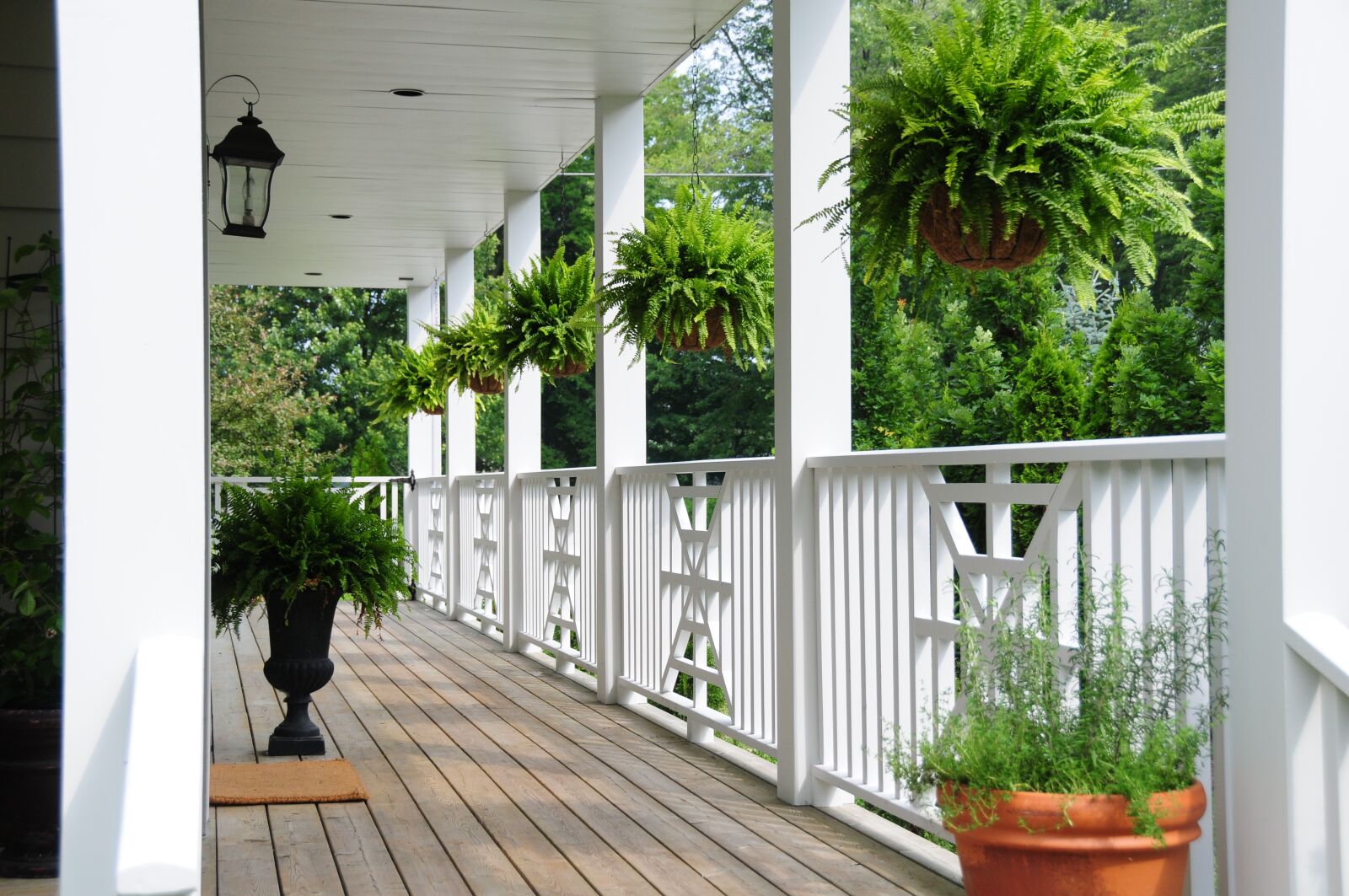 Nikon D300 sample photo. Railing, porch, flowers photography