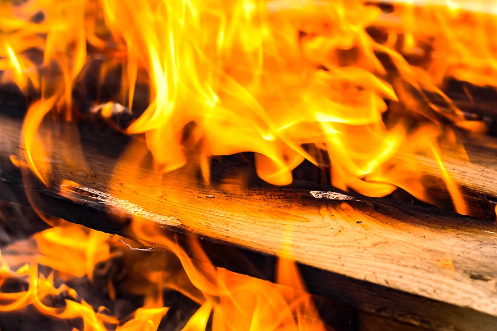 Canon EOS 650D (EOS Rebel T4i / EOS Kiss X6i) sample photo. Fire, wood, flame photography