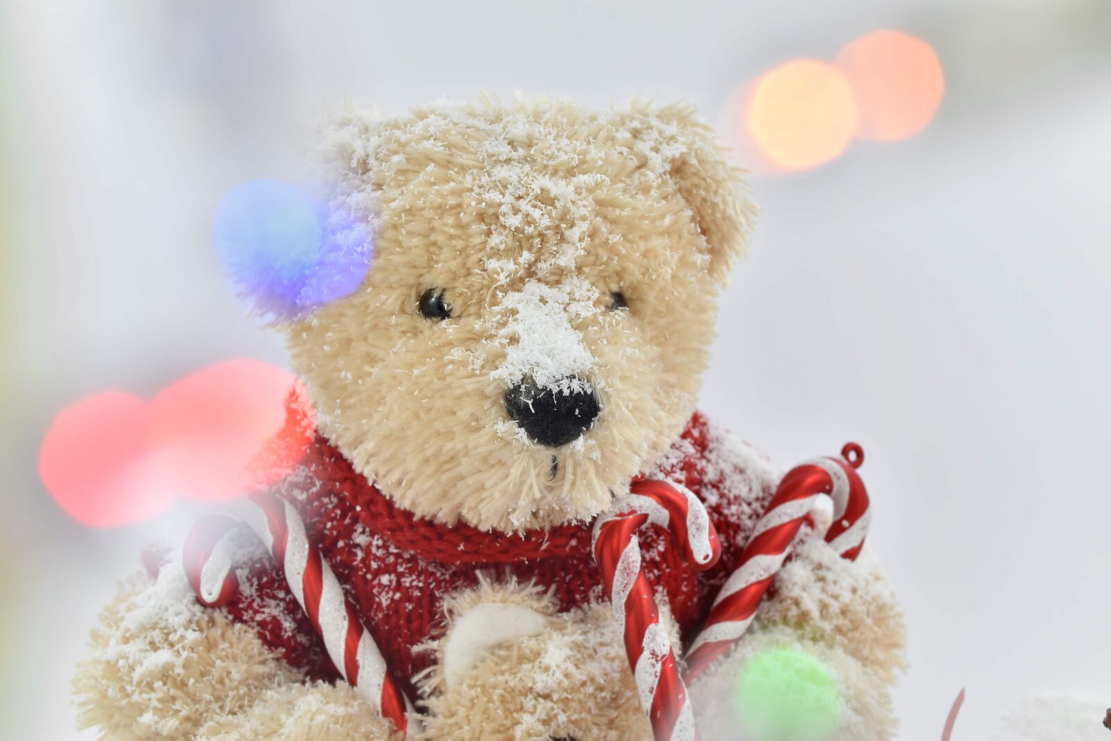 Nikon D5500 sample photo. Teddy bear toy, toys photography