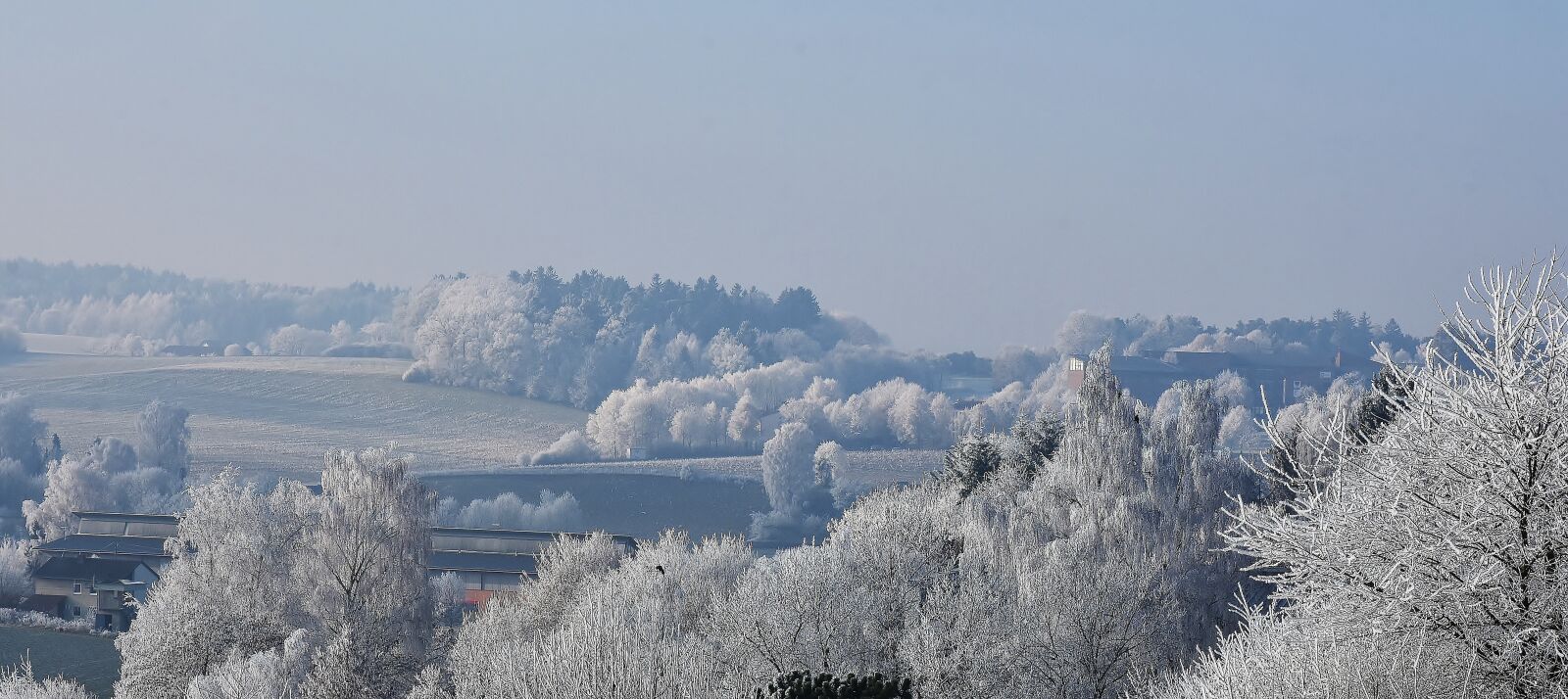 Nikon D7200 sample photo. Winter, snow, cold photography