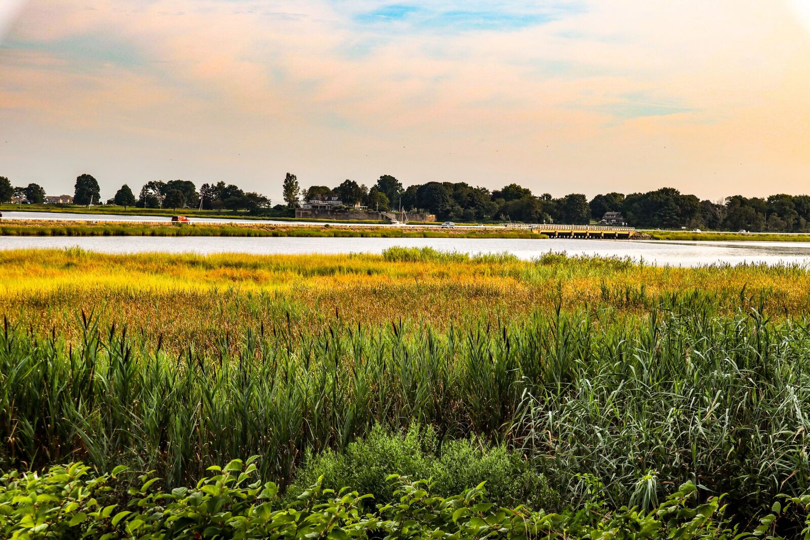 Canon EOS M6 + Canon EF-M 15-45mm F3.5-6.3 IS STM sample photo. Marsh, grass, connecticut photography