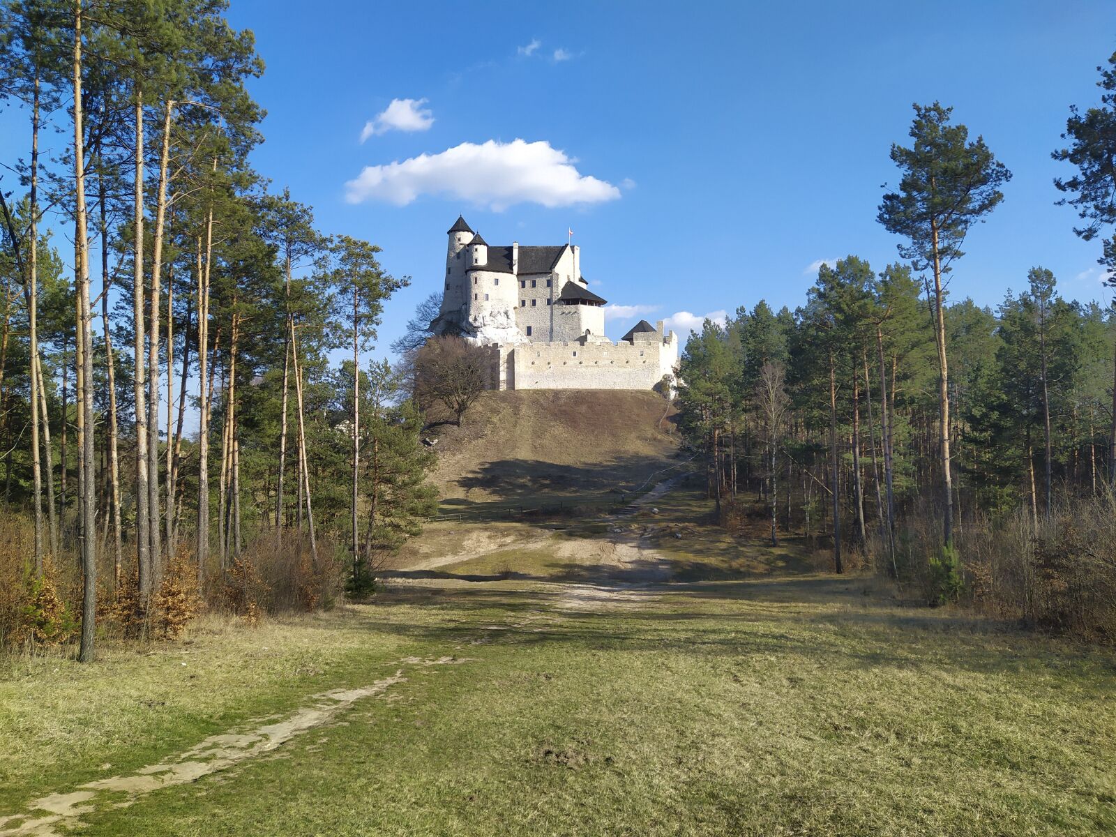 Xiaomi Redmi Note 7 sample photo. Castle, forest, architecture photography
