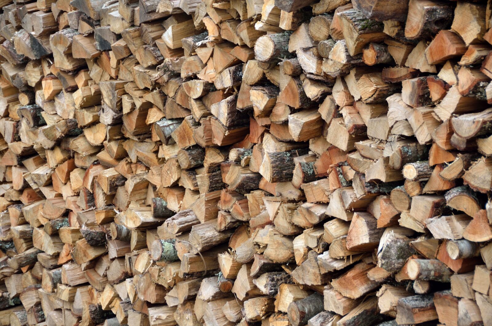 Nikon D7000 sample photo. Background, backdrop, wood photography