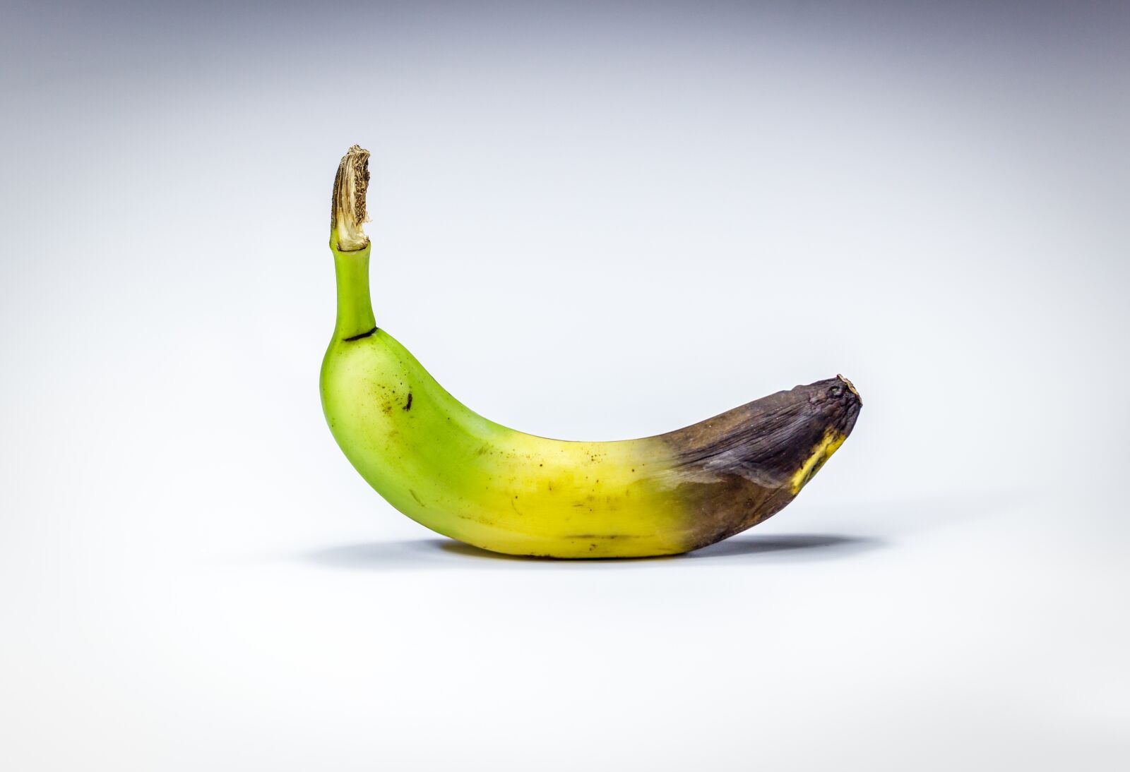 Canon EOS 600D (Rebel EOS T3i / EOS Kiss X5) sample photo. Banana, stadiums, decay photography