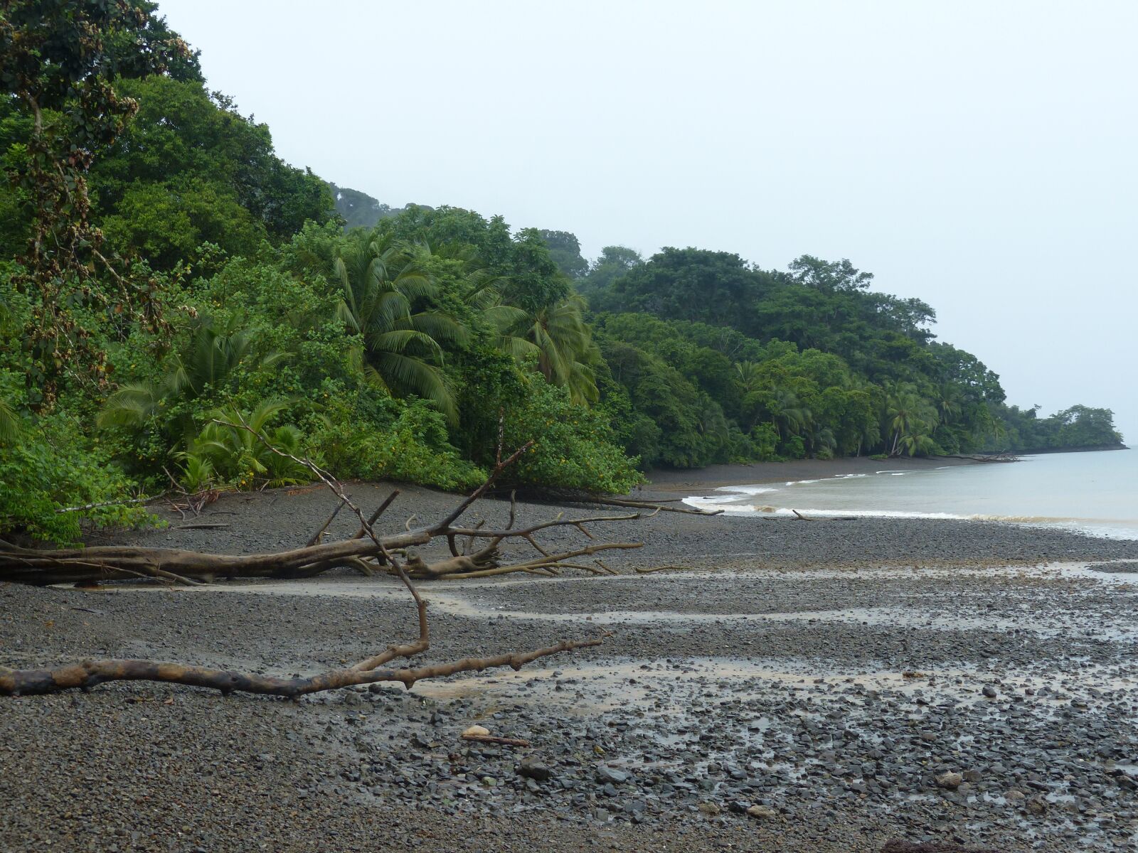 Panasonic Lumix DMC-FZ200 sample photo. Beach, coast, jungle photography