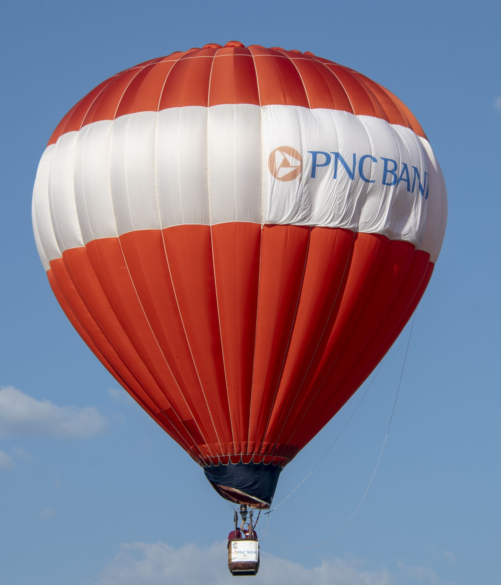 Nikon D850 sample photo. Hot air balloon, balloon photography