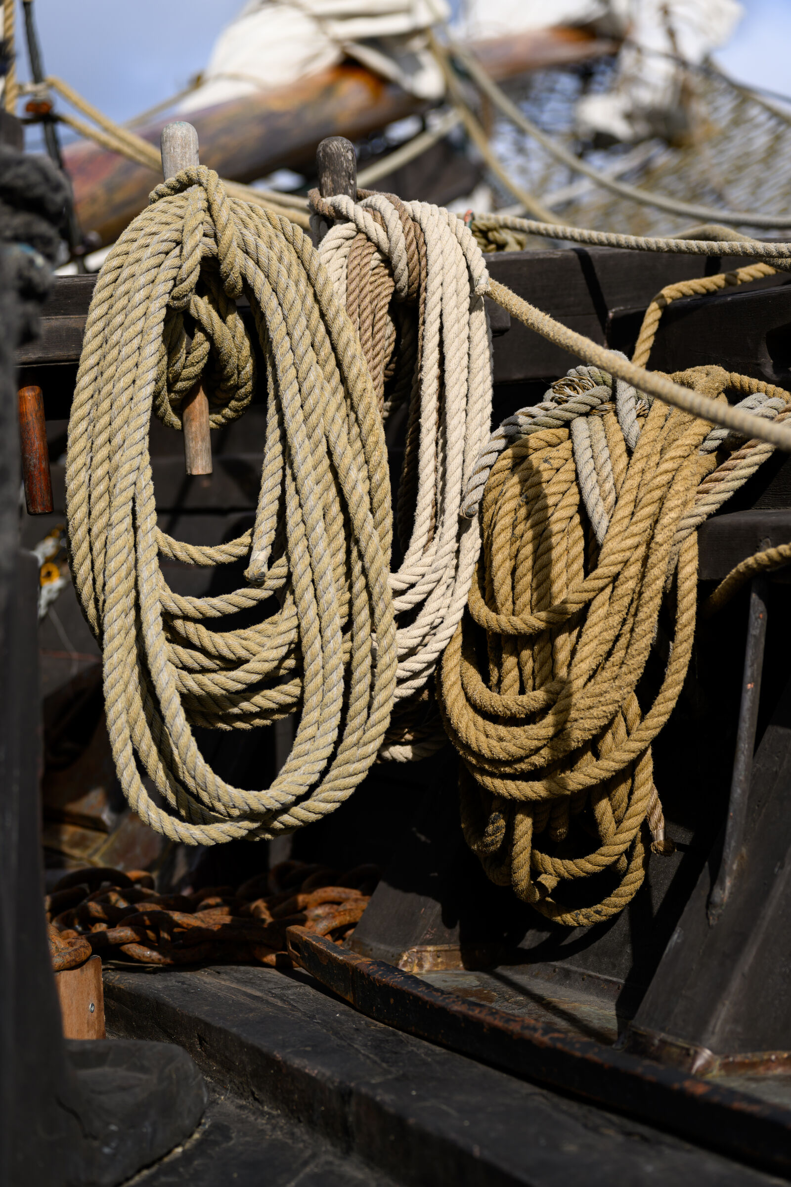 Nikon Z9 sample photo. Sailboat ropes photography