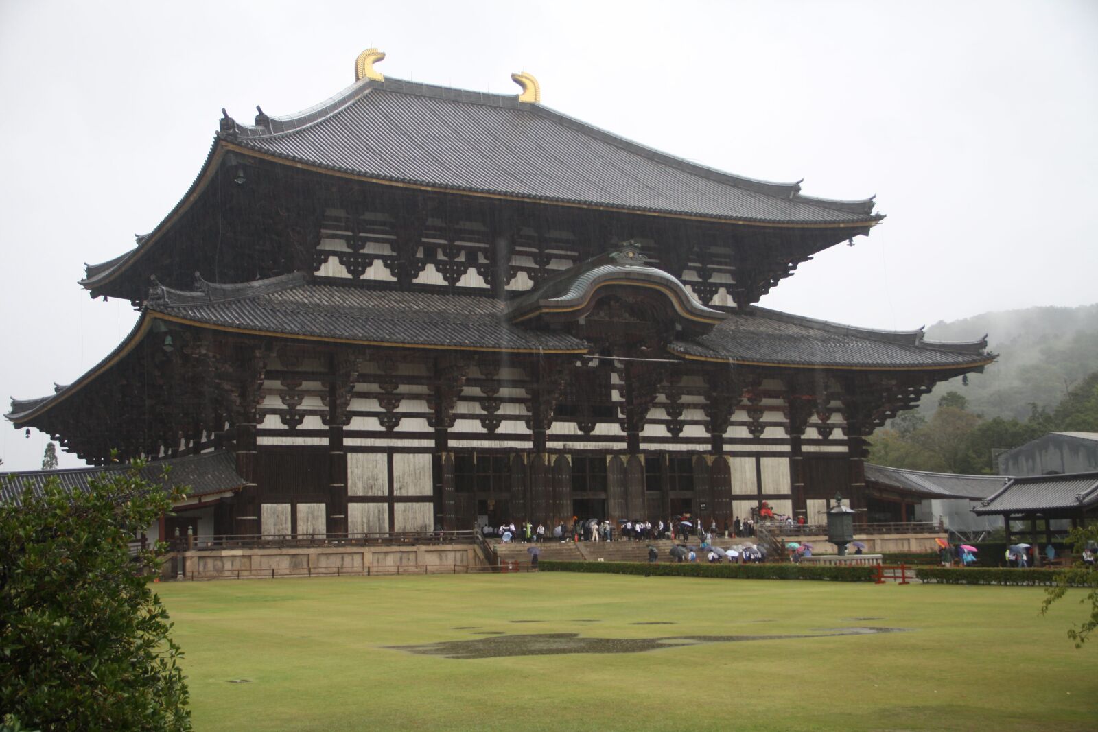 Canon EOS 50D sample photo. Temple, japan, buddha photography