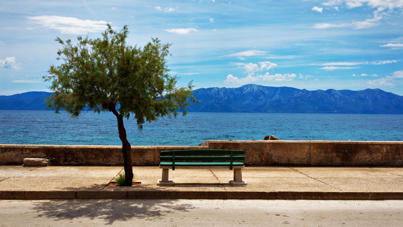 Canon EOS 650D (EOS Rebel T4i / EOS Kiss X6i) + Canon EF-S 24mm F2.8 STM sample photo. Bench, tree, sea photography