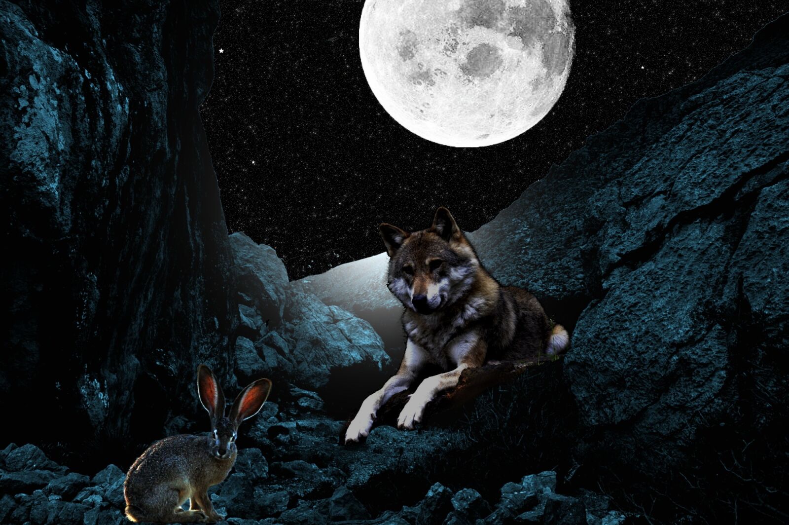 Nikon D3200 sample photo. Night, moon wolf, hare photography