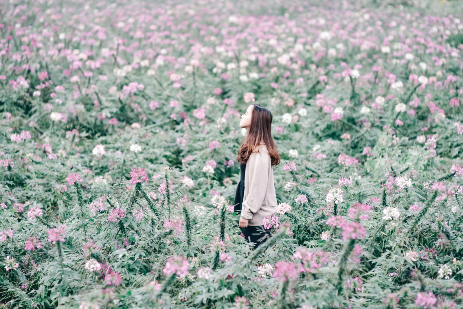 Nikon D750 sample photo. Flowers, girl, lost photography